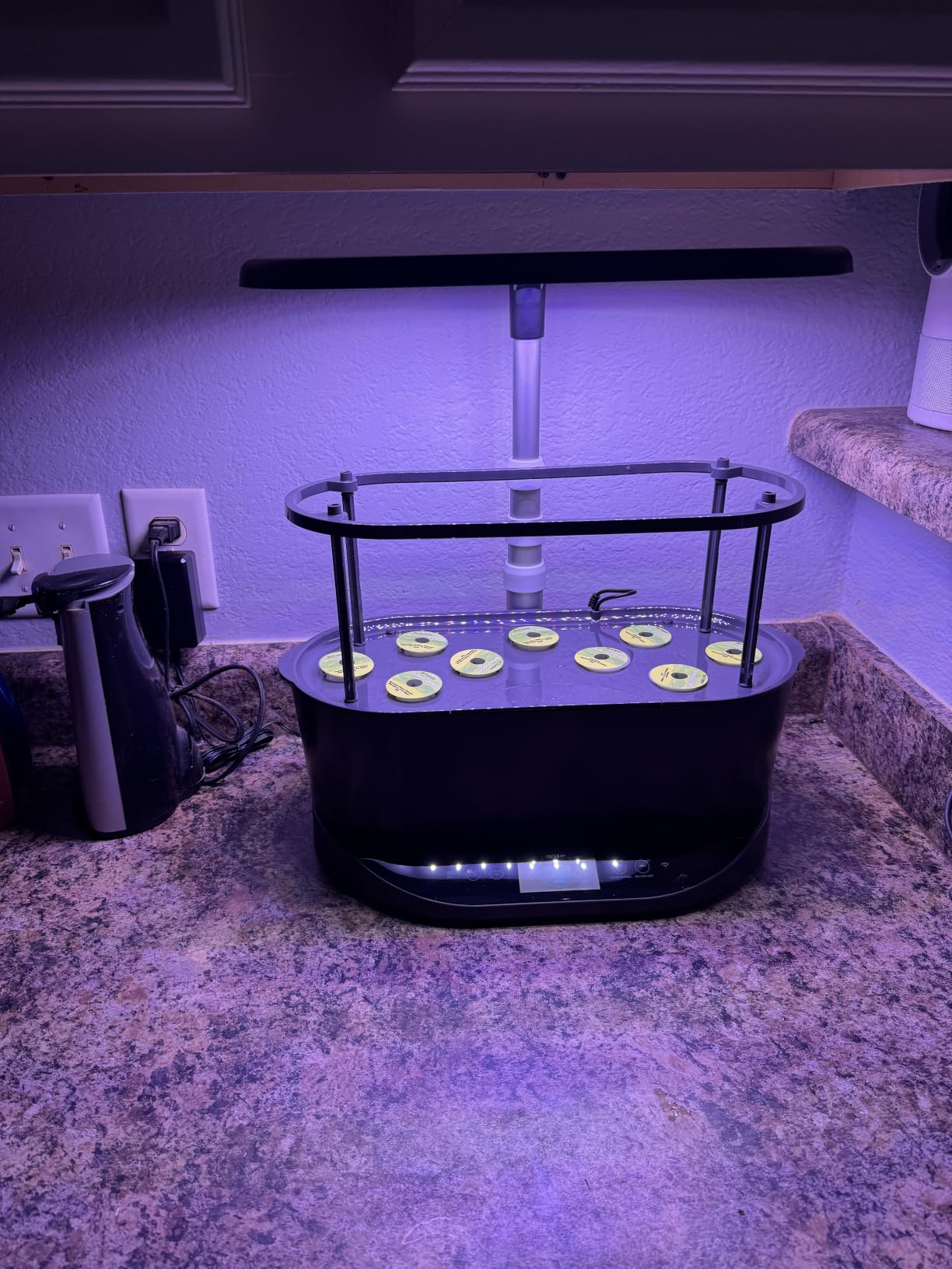 AeroGarden Bounty, White customer photo 2