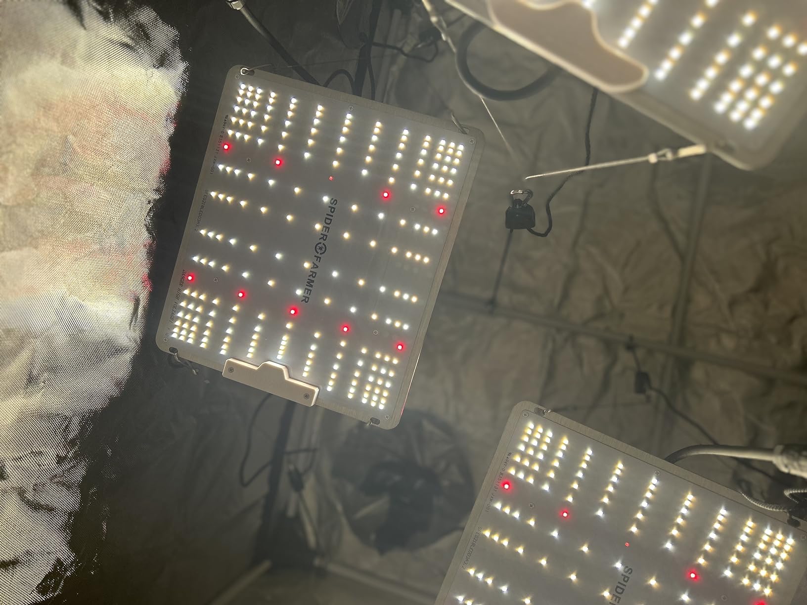 Spider Farmer SF2000 LED Grow Lights for Indoor Plants in 2x4 Grow Tent | 200W Dimmable Full Spectrum Grow Light, New-Gen High-Efficiency Diodes 2.7 PPE System for Seed Starting, Vegetables & Bloom customer photo 1