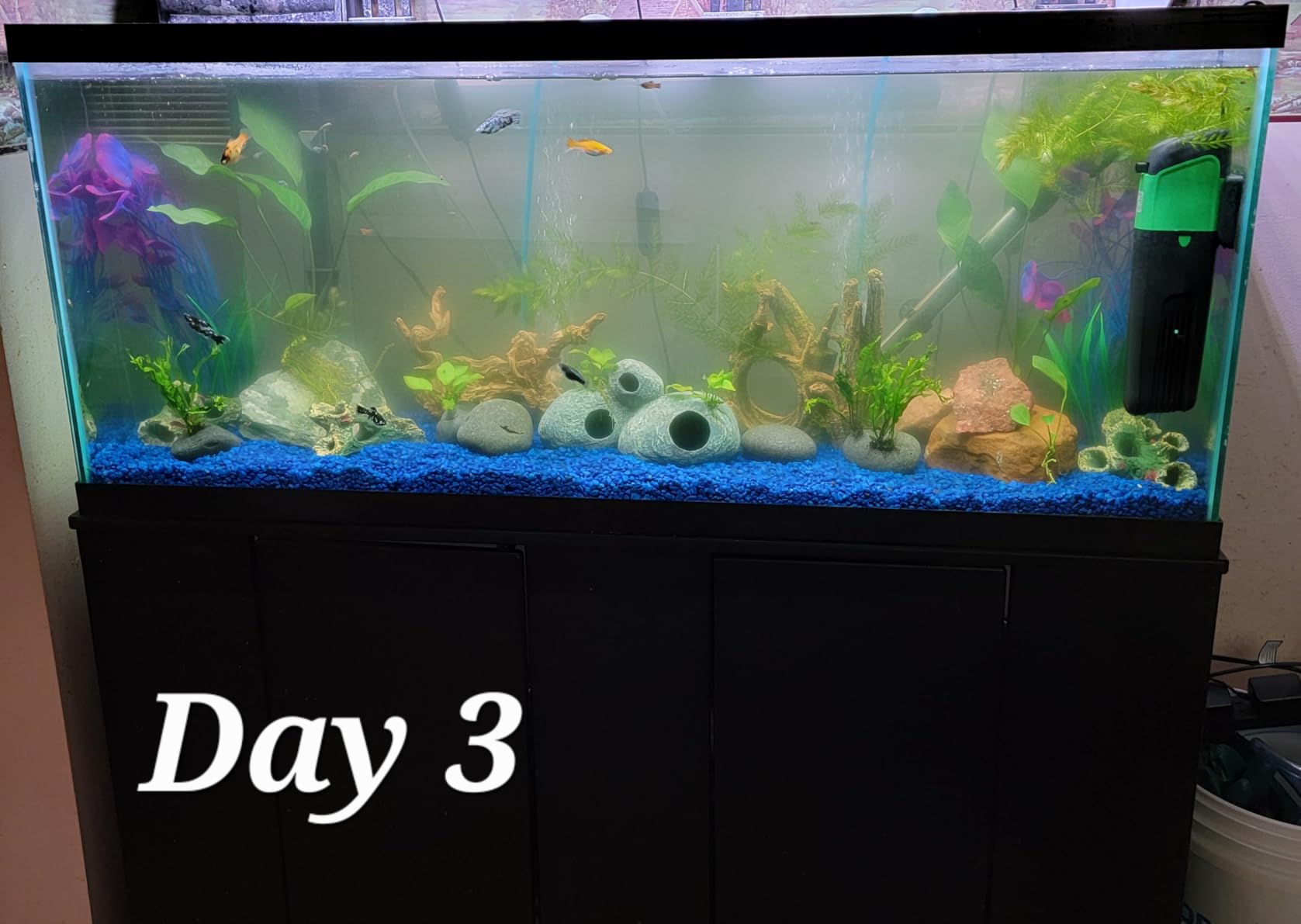 Internal Green Water Killer Aquarium Filter Tank UV Pump customer photo 1