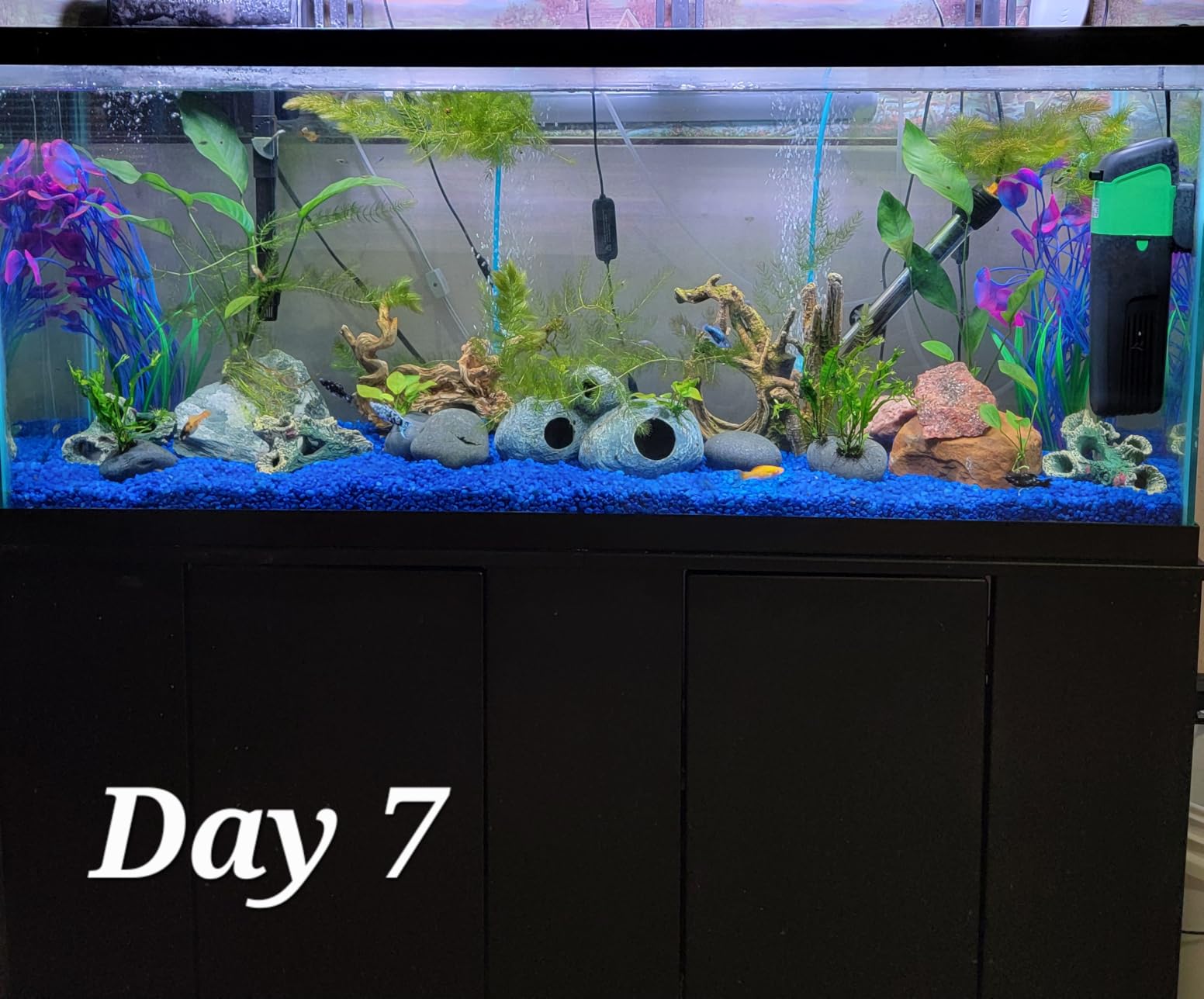 Internal Green Water Killer Aquarium Filter Tank UV Pump customer photo 2