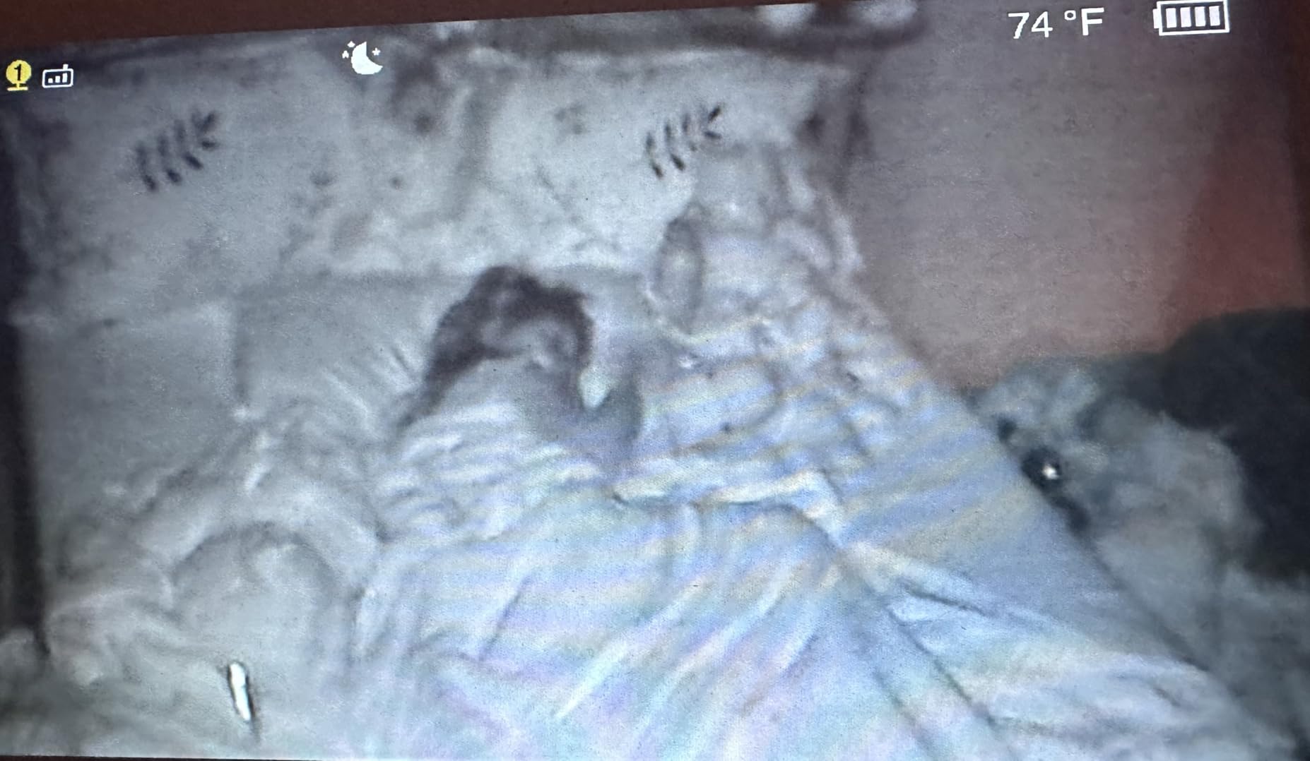 VTech Baby Monitor with 2 Cameras No WiFi & 5