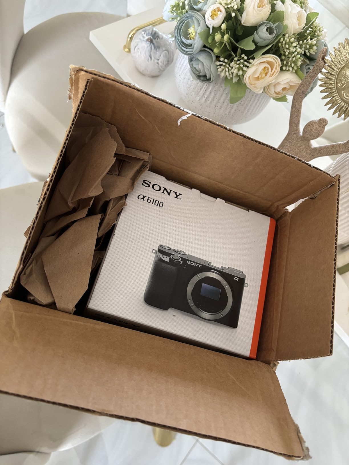 Sony Alpha A6100 Mirrorless Camera, Black customer photo 2