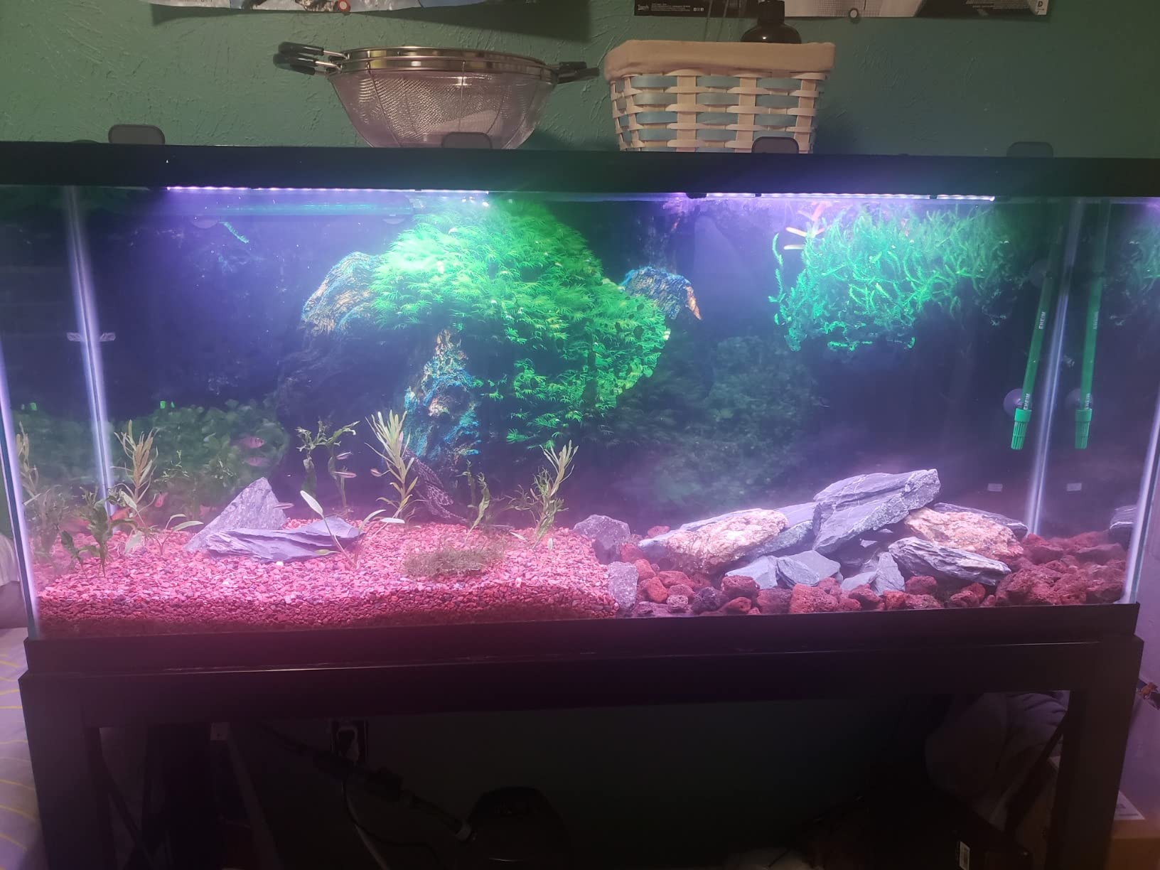 hygger 14W Full Spectrum Aquarium Light with Aluminum Alloy Shell Extendable Brackets, White Blue Red LEDs, External Controller, for Freshwater Fish Tank (18-24 inch) customer photo 1