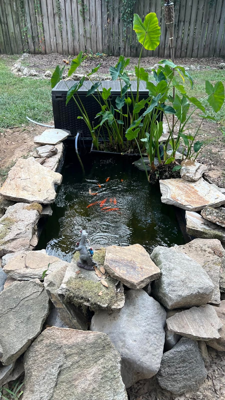 VIVOHOME 1580GPH Bio Pressure Pond Filter with 13W Light for Various Ponds | Multi-Size Adapter, 16.4ft Power Cord, Koi Ponds up to 800Gallons, Ornamental Ponds up to 1600Gallons customer photo 1