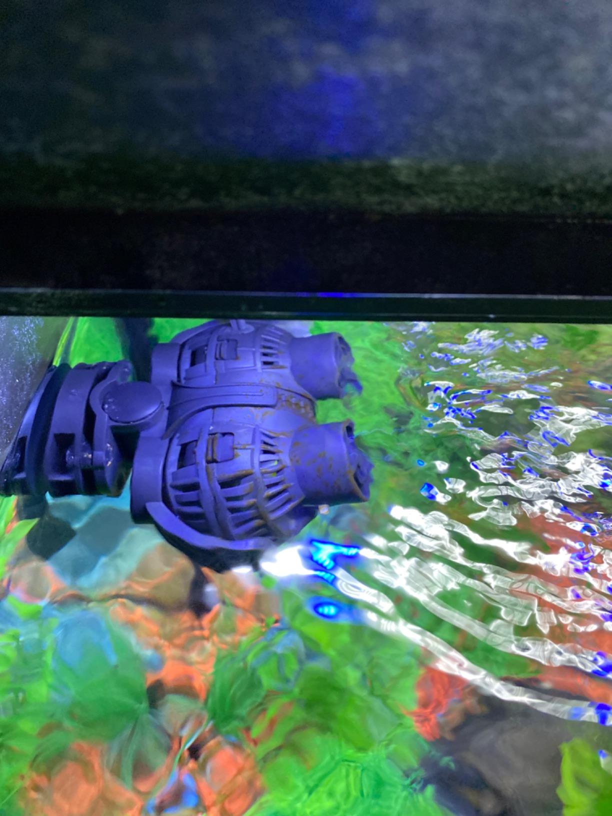 FREESEA Magnetic Wave Maker for Aquarium: 1s Mounts on 15mm Glass Secure | 8W 1600GPH 180 Degree Adjustable Dual Heads Eliminate Dead Spots Improve Water Quality for 55-125 Gallon Fish Tank customer photo 1