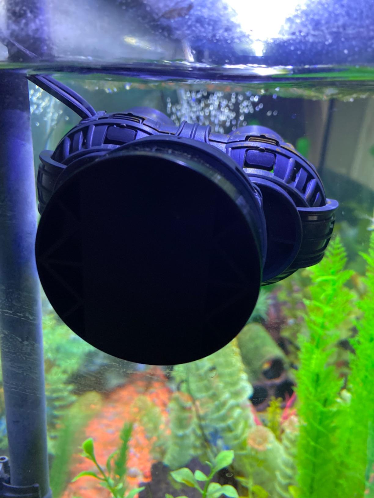 FREESEA Magnetic Wave Maker for Aquarium: 1s Mounts on 15mm Glass Secure | 8W 1600GPH 180 Degree Adjustable Dual Heads Eliminate Dead Spots Improve Water Quality for 55-125 Gallon Fish Tank customer photo 2
