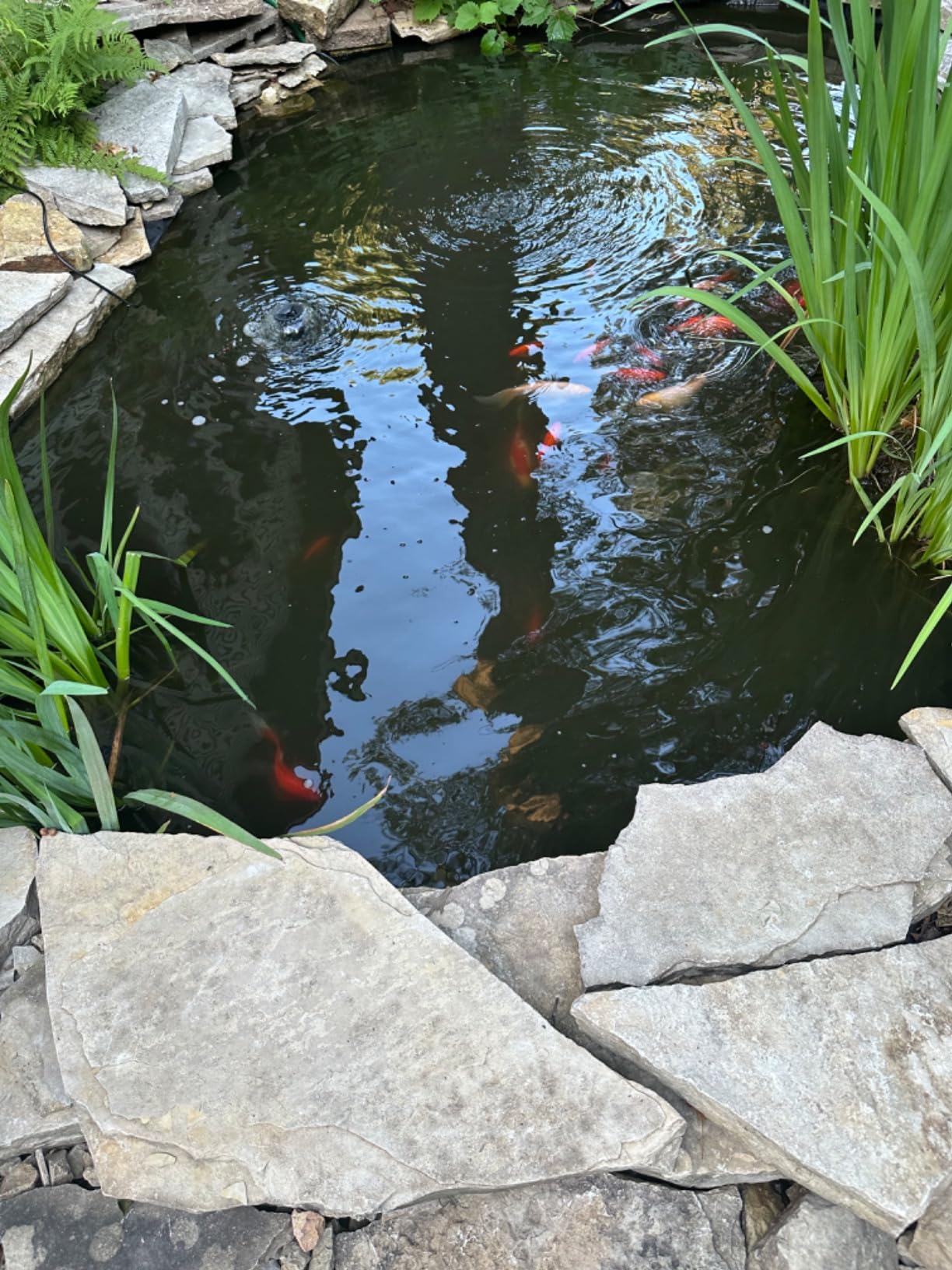 VIVOHOME 660GPH 54W All-in-One Pond Filter Pump Fountain System Kits | Multi-Stage Filtration, 33ft Power Cord, Waterfalls, Outdoor Water Features, Ponds Up to 1180gallons customer photo 1