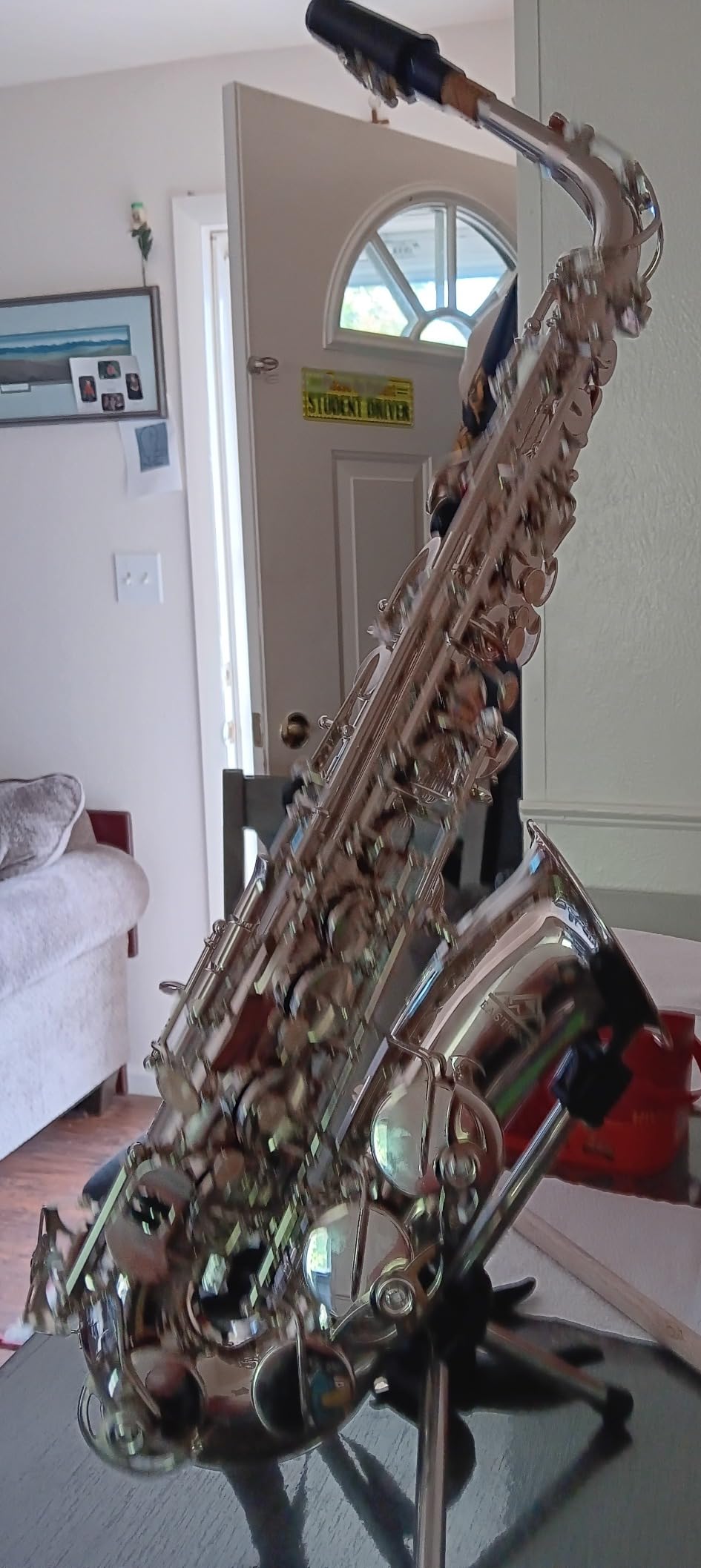 EASTROCK E Flat Alto Saxophone Blue/Golden Sax for Beginners and Students customer photo 2