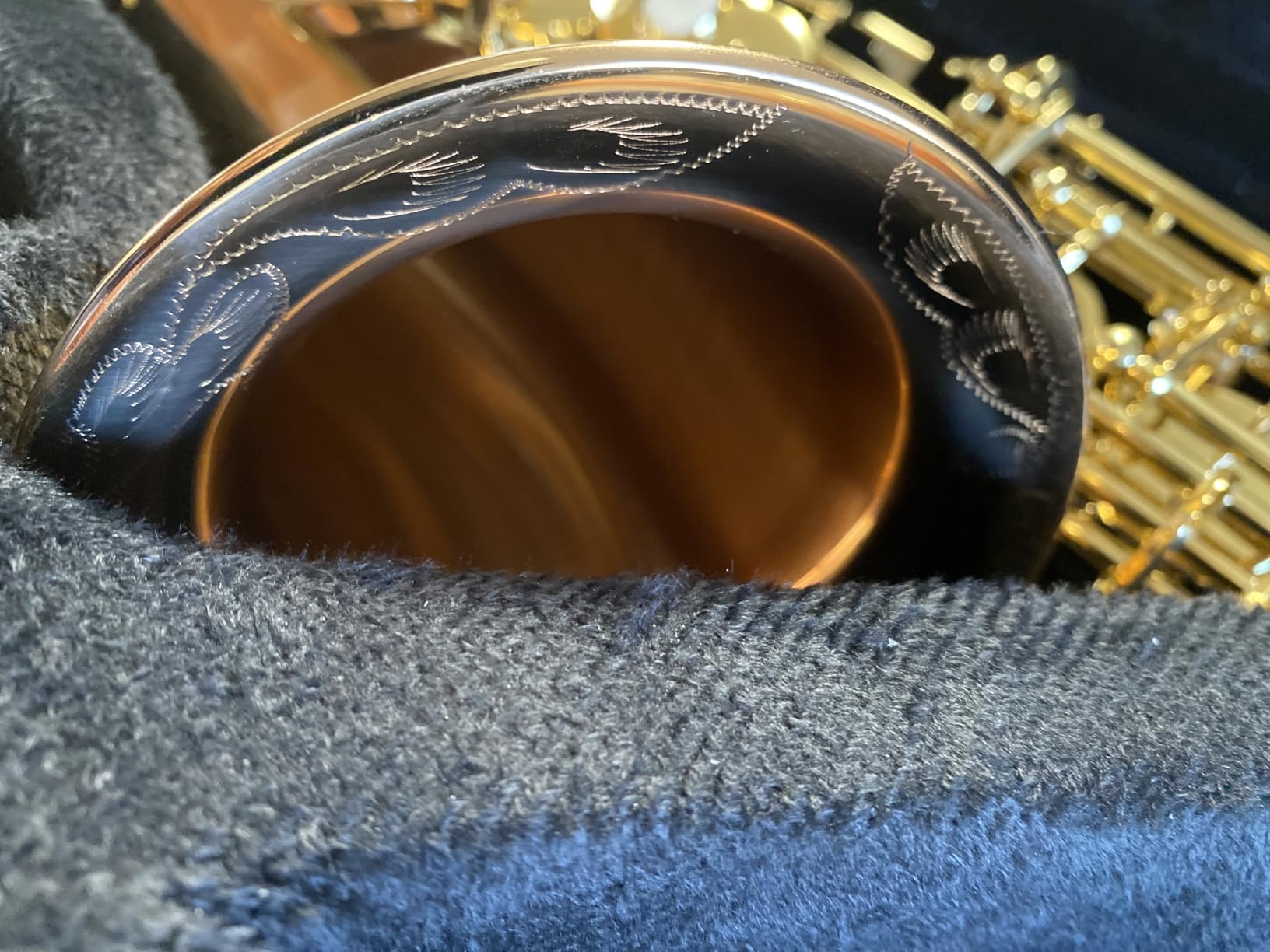 EASTROCK E Flat Alto Saxophone Black/Golden Sax for Beginners and Students customer photo 1