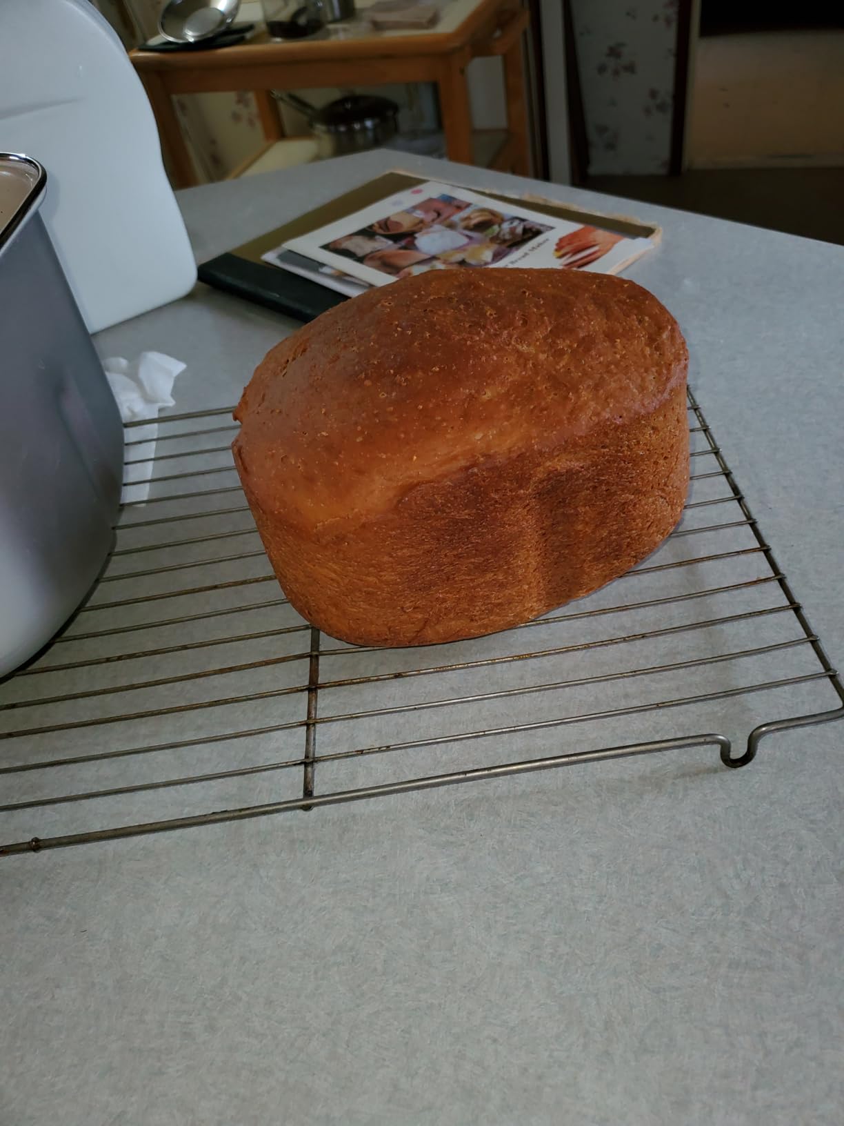 KBS Premium 2.2LB Convection Bread Maker Dual Heaters, 710W Stainless Steel 17-in-1 Bread Machine Healthy Ceramic Pan, Nut Dispenser, Touch Panel, 3 Loaf Sizes 3 Crust Colors, 15H Timer, Low Noise, Recipes customer photo 1