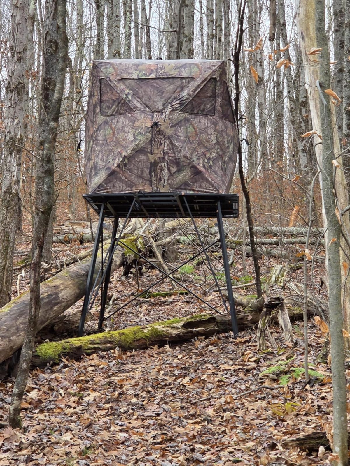 Ameristep Care Taker Ground Blind, Mossy Oak Break Up Country, Comfortably accommodates two hunters, Durable yet lightweight customer photo 2