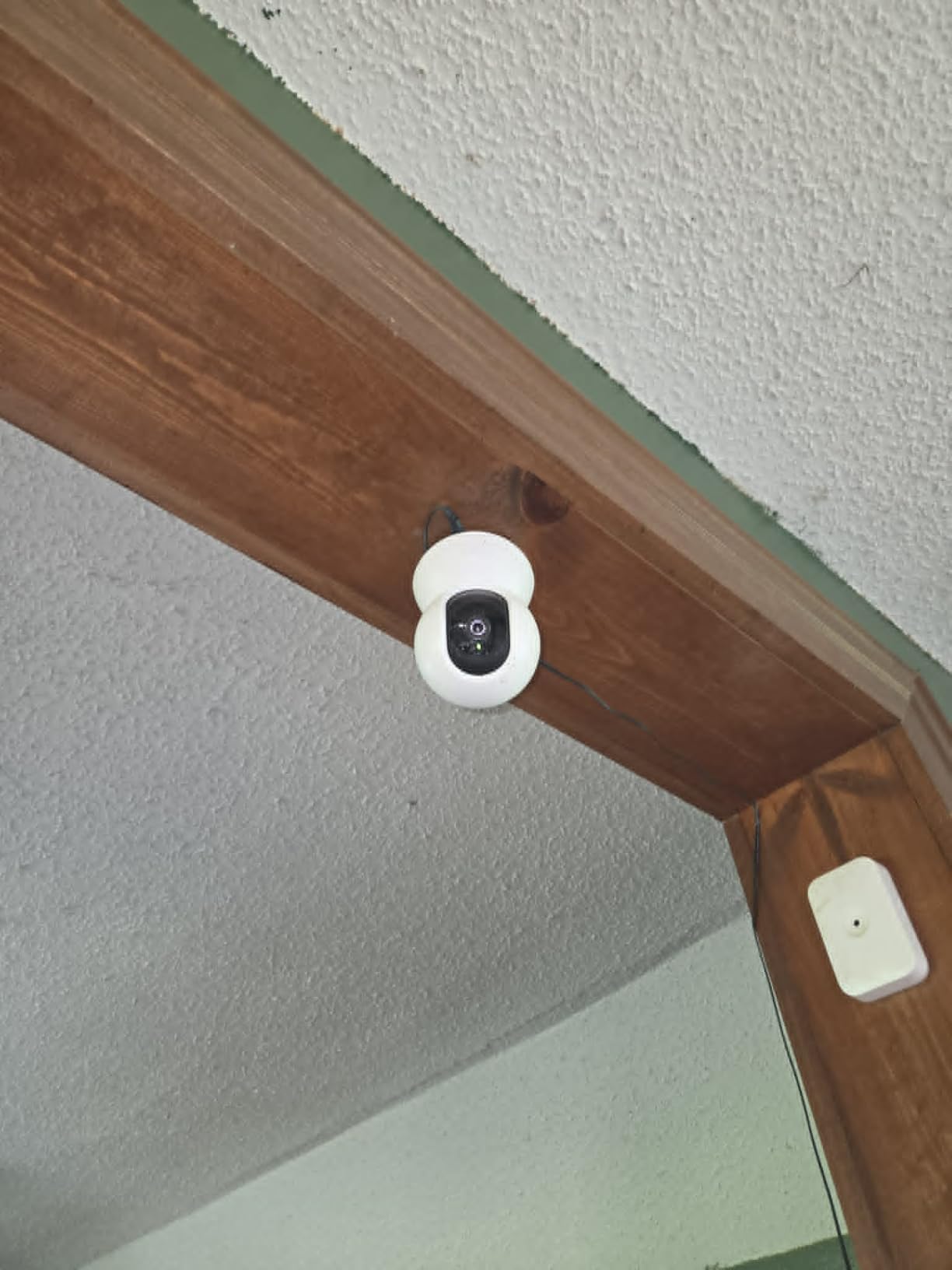 TP-Link Tapo Pan/Tilt Security Camera for Baby Monitor, Pet Camera w/Motion Detection, 1080P, 2-Way Audio, Night Vision, Cloud & SD Card Storage, Works with Alexa & Google Home (Tapo C200) customer photo 1