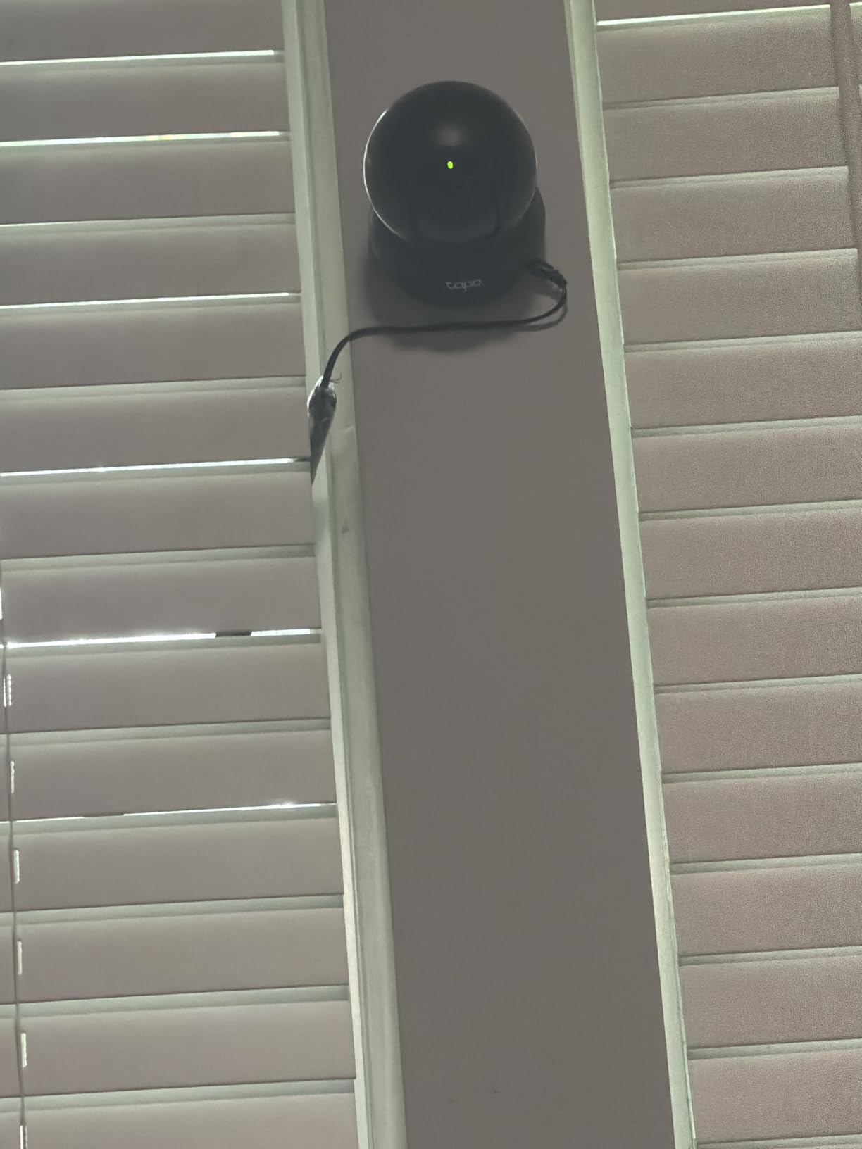 TP-Link Tapo Pan/Tilt Security Camera for Baby Monitor, Pet Camera w/Motion Detection, 1080P, 2-Way Audio, Night Vision, Cloud & SD Card Storage, Works with Alexa & Google Home (Tapo C200) customer photo 2