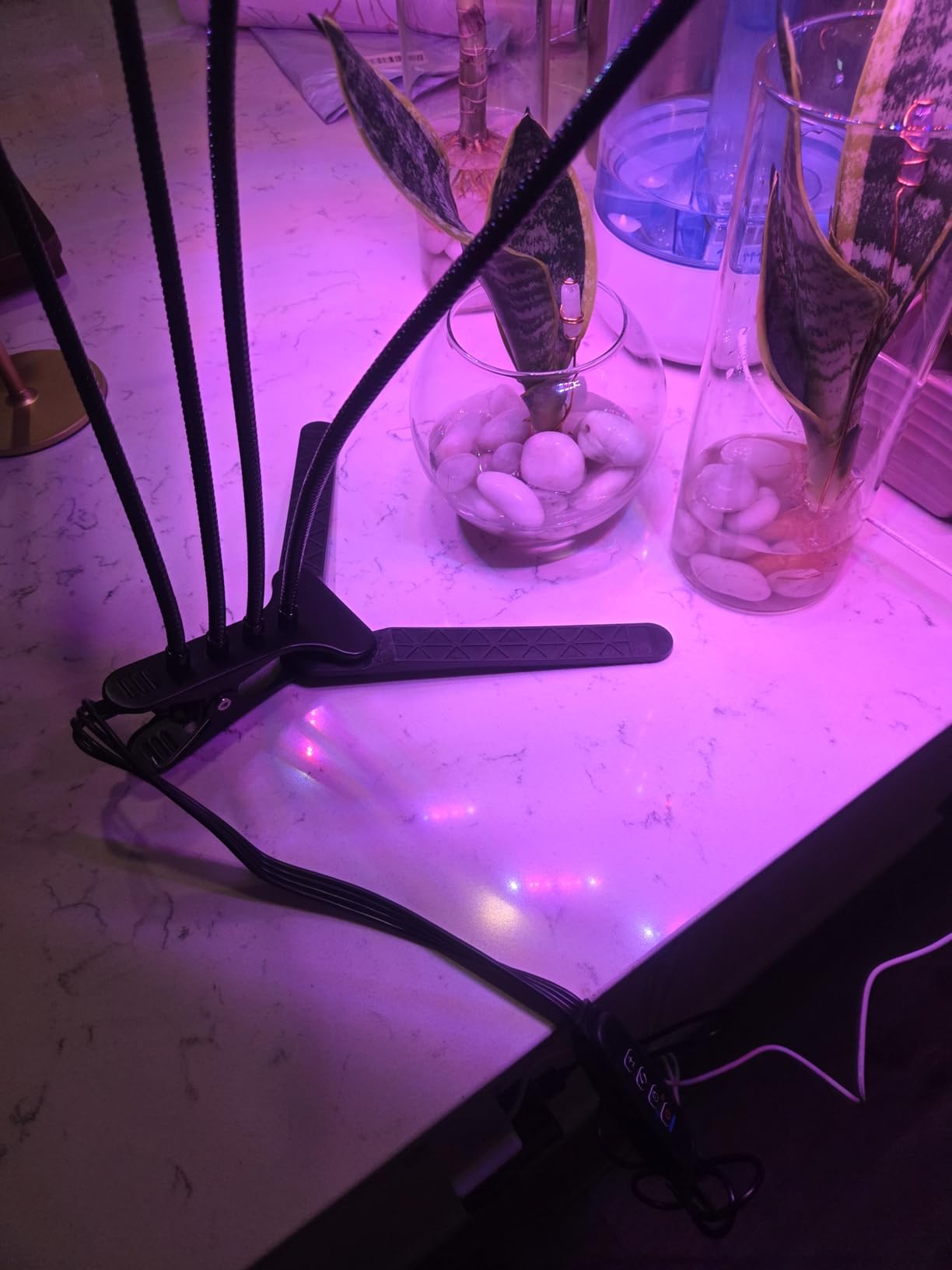 LEOTER Grow Light for Indoor Plants - Upgraded Version 80 LED Lamps with Full Spectrum & Red Blue Spectrum, 3/9/12H Timer, 10 Dimmable Level, Adjustable Gooseneck, 3 Switch Modes customer photo 1