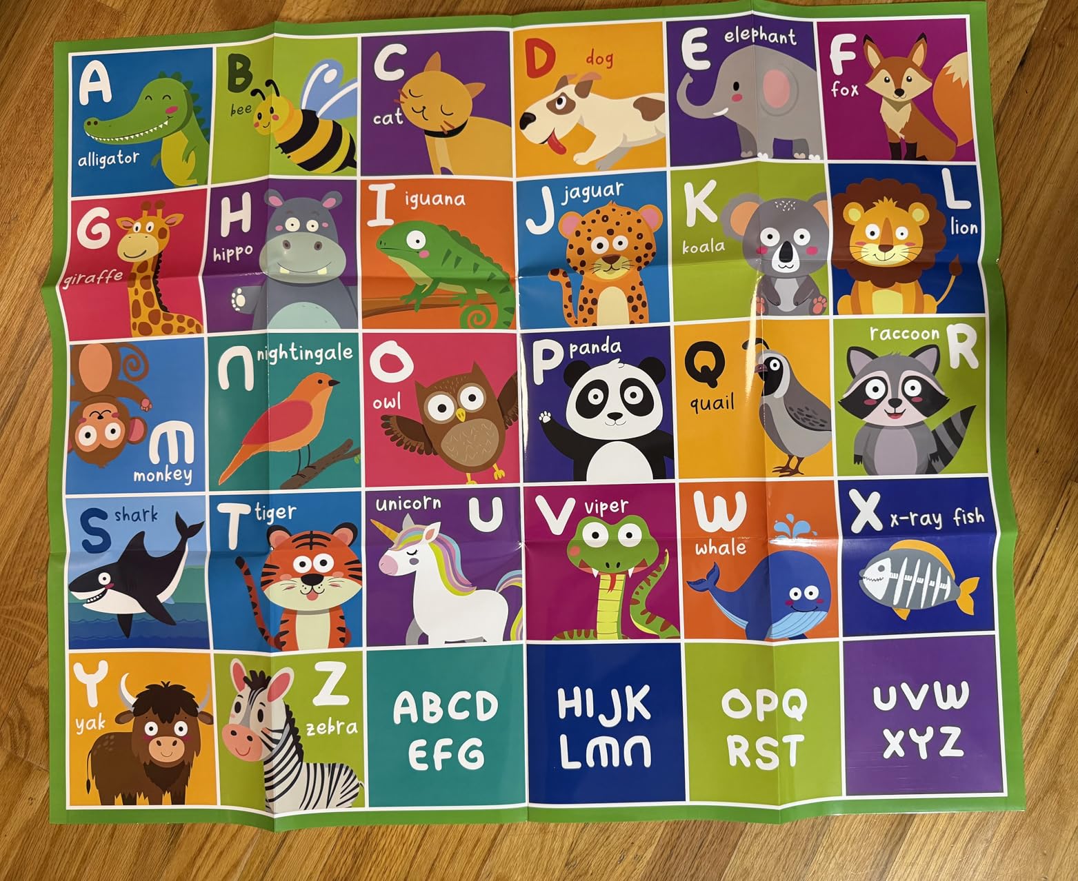 Apitor Robot Bear Screen-Free STEM Coding Robot for Toddlers Ages 3-5 | ABC Alphabet Learning Map, Early Programming, Develop Fine Motor Skills, Classroom & Family Play, LED Eyes & Sounds customer photo 2