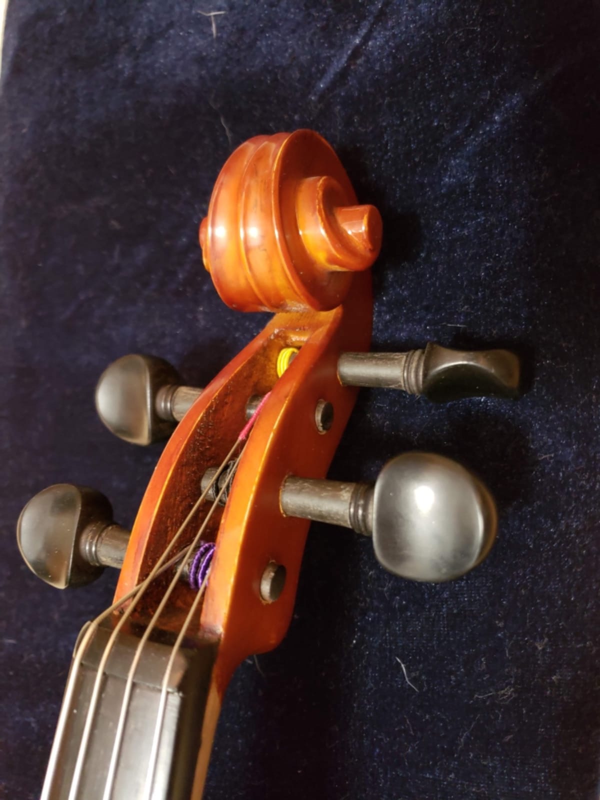 Viola Model 101 with Case and Bow (15.5