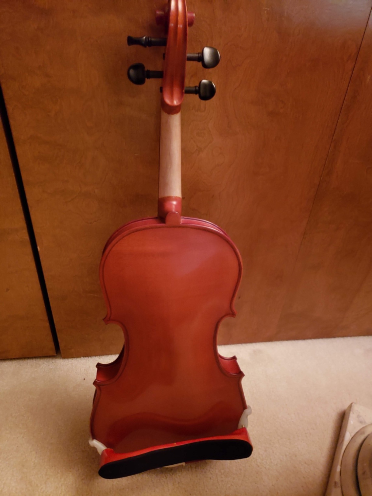 Viola Model 101 with Case and Bow (15.5