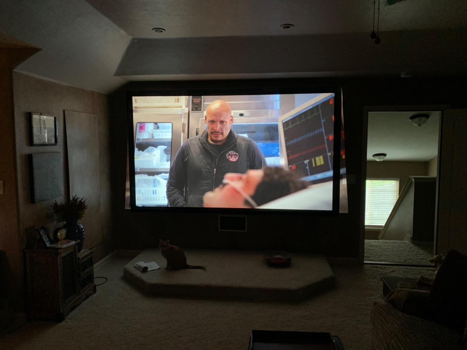 Optoma HD146X 1080P Full HD Vibrant Home Theater Projector customer photo 1