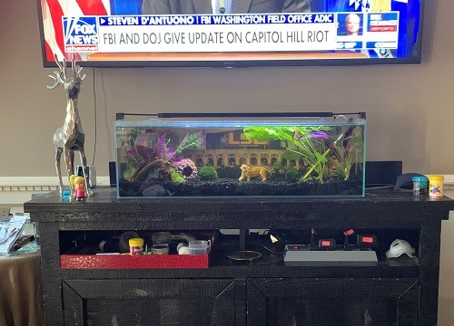 LIFEGARD Low Iron Ultra Clear Crystal Bookshelf Aquarium with Foam Leveling Mat - Rimless Aquariums with 45-Degree Beveled Edge, Peninsula Style - for Fish and Corals - 22 Gallon Capacity customer photo 1