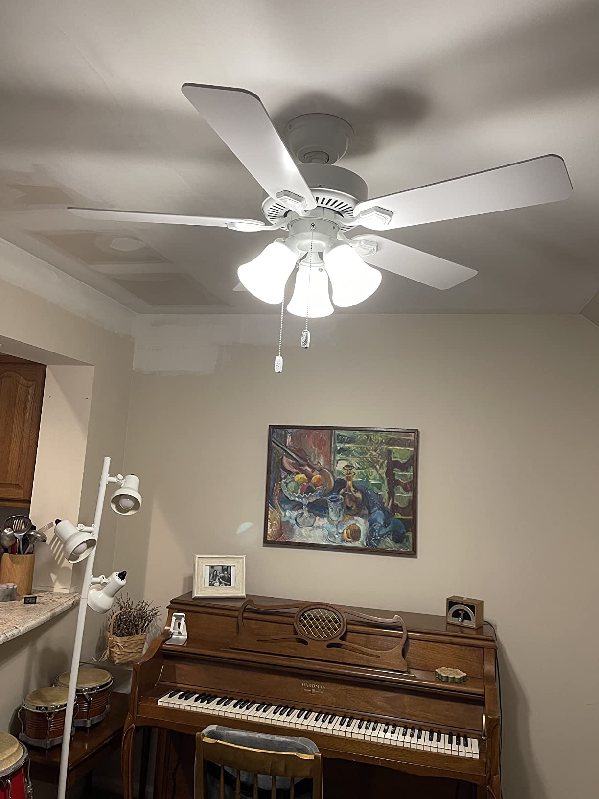 Hunter Swanson, Indoor, Ceiling Fan, with LED Lights, 44 inch, Fresh White | Standard Mount, Pull Chain, 5 Blades, For Bedroom, Living Room, Kitchen, 50885 customer photo 1
