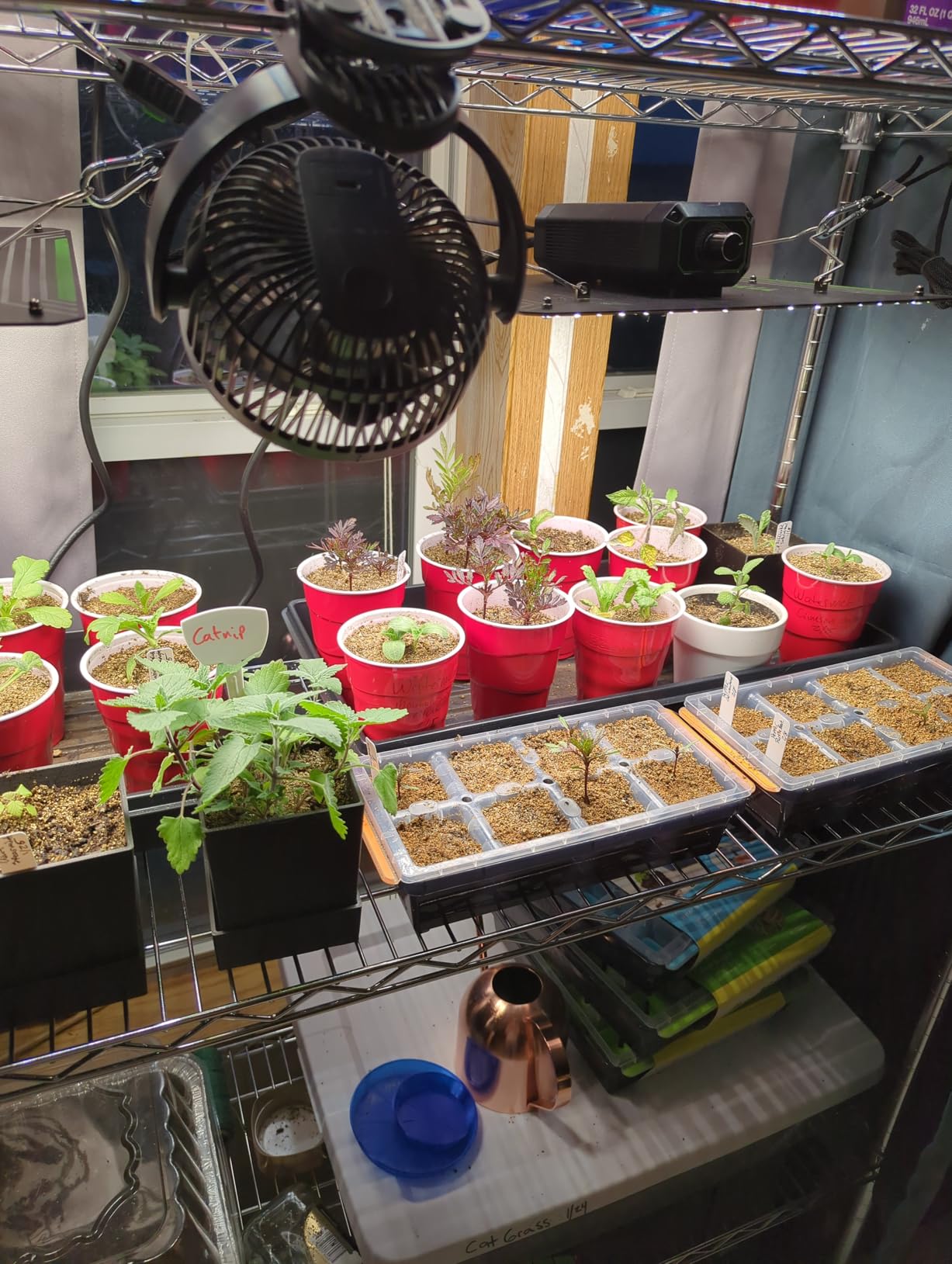 VIVOSUN LumaLight 100W LED Grow Light, Full Spectrum Plant Light, Smart Dimmable & High PPFD for Indoor Plants Seedling Vegetables Bloom, Fits 2x2/2x4 Grow Tents customer photo 1
