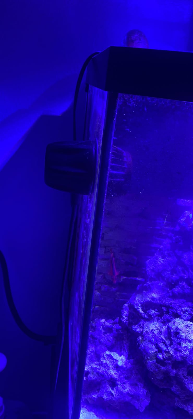 SLW Wave Maker Flow Pump with Controller for Marine Reef Aquarium (SLW-20, 2641 GPH) customer photo 1
