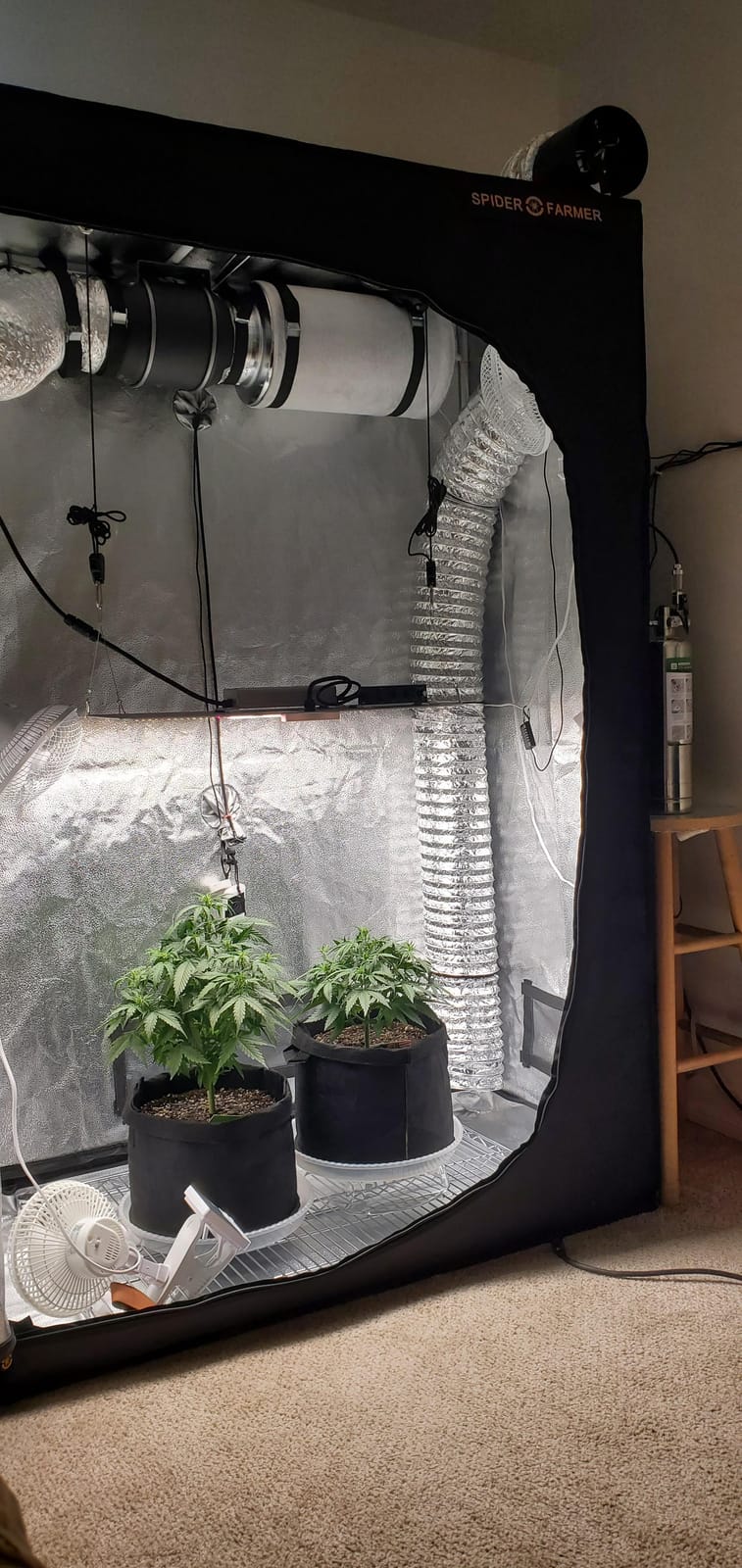 Spider Farmer 2x4 SF2000 200W Complete Grow Tent Kit with GGS Auto Control, Full Spectrum Dimmable LED Grow Light, 24