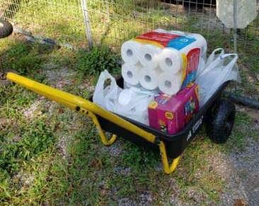 Gorilla Carts Poly Dump Cart, 2-Wheel Garden Wagon, 4 Cu Ft, 300lb Capacity customer photo 1