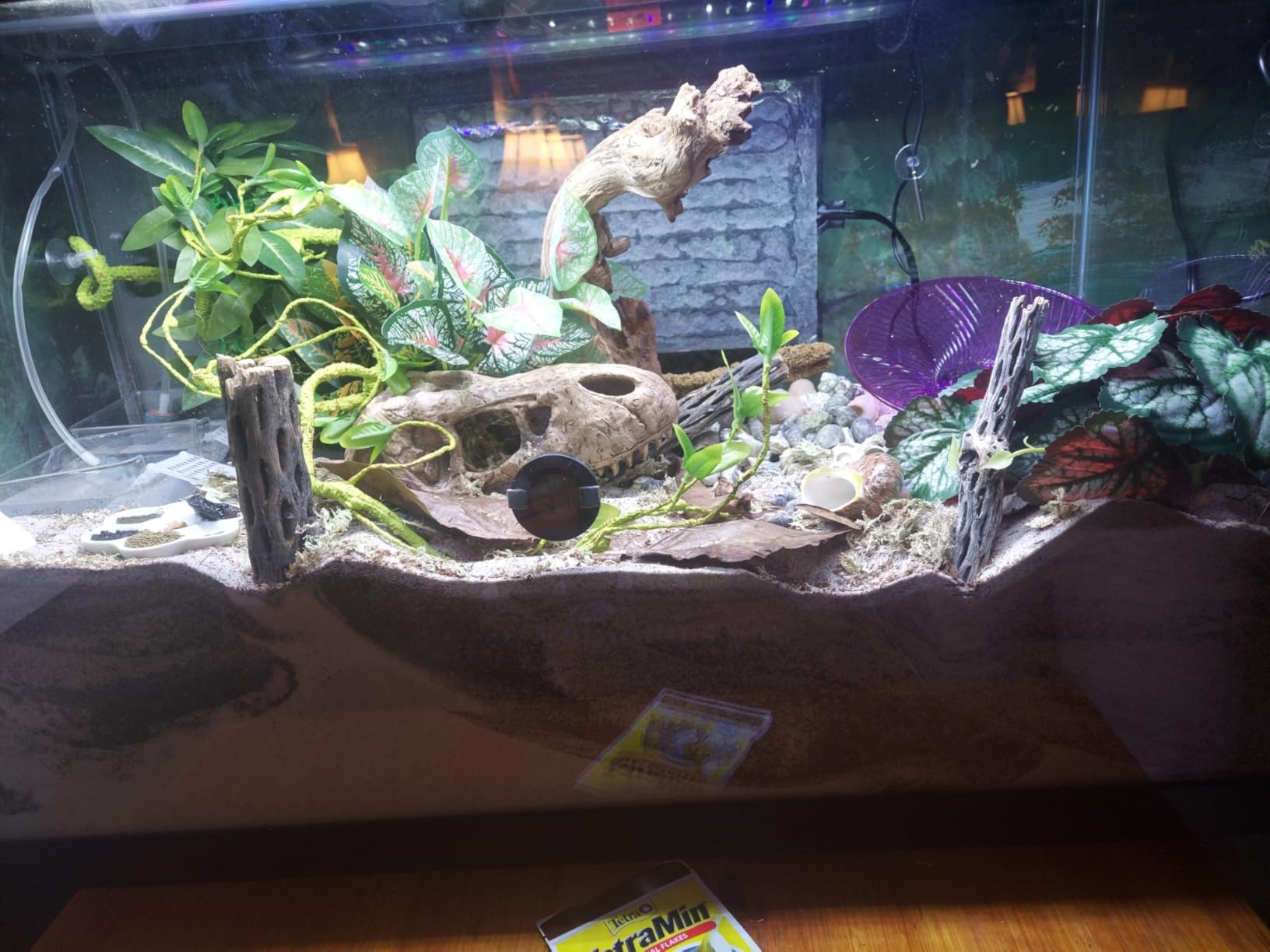 Tetra 55 Gallon Glass Aquarium, Rectangular Fish Tank | 48