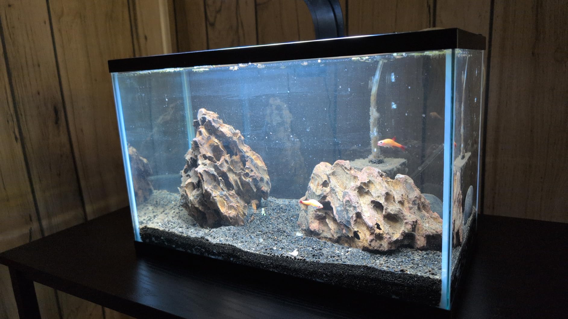 Tetra 55 Gallon Glass Aquarium, Rectangular Fish Tank | 48
