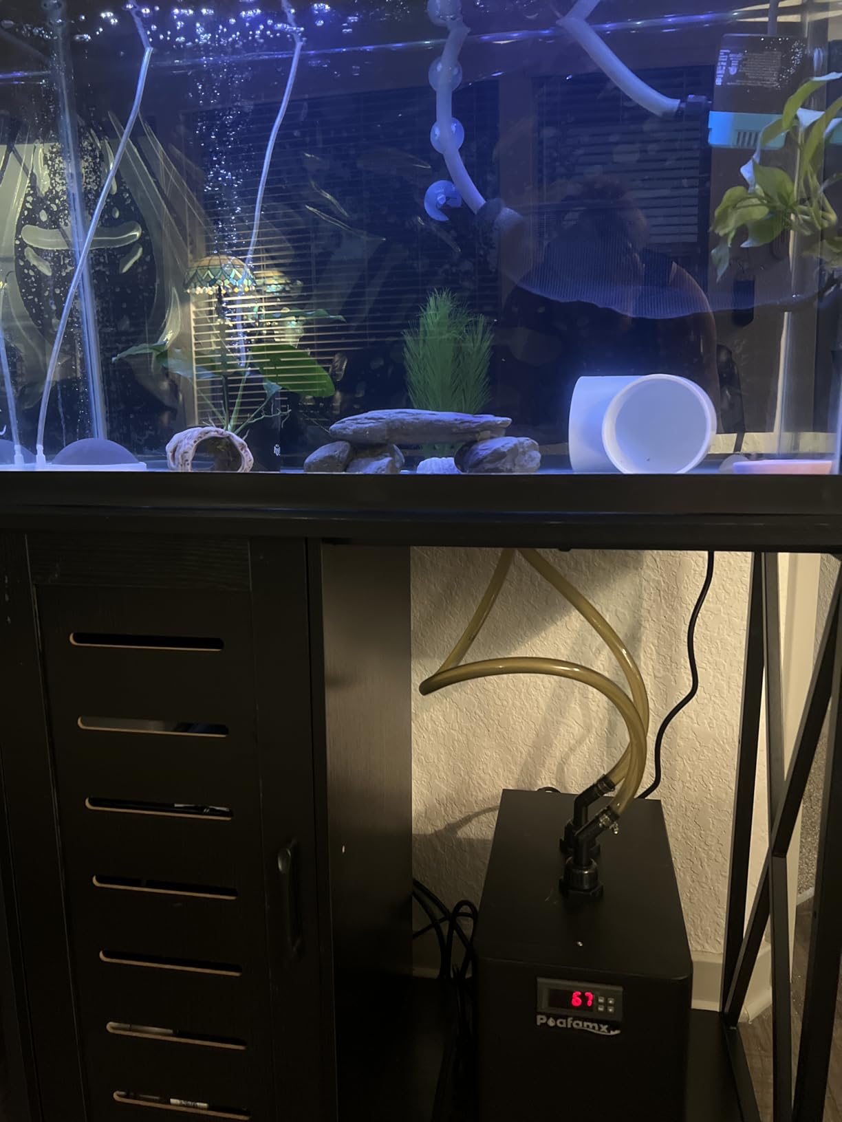 Poafamx 1/3 HP Aquarium Chiller, Quiet Fish Tank Water Chiller 40-80 Gal, Energy-Saving Aquarium Cooler with Pump & Tubing for Large Saltwater Freshwater Axolotl Coral Reef Hydroponic Systems customer photo 2