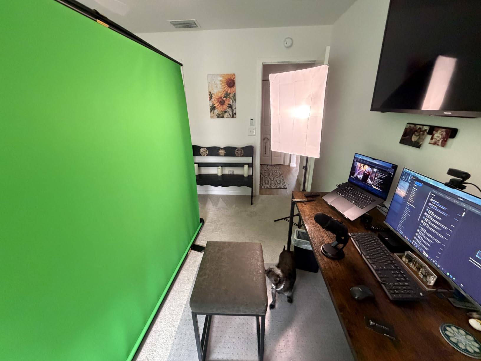 RAUBAY 78.7 x 82.7in Large Collapsible Green Screen Backdrop | Portable Retractable Chroma Key Panel Photo Background with Stand for Video Conference, Photographic Studio, Streaming customer photo 2