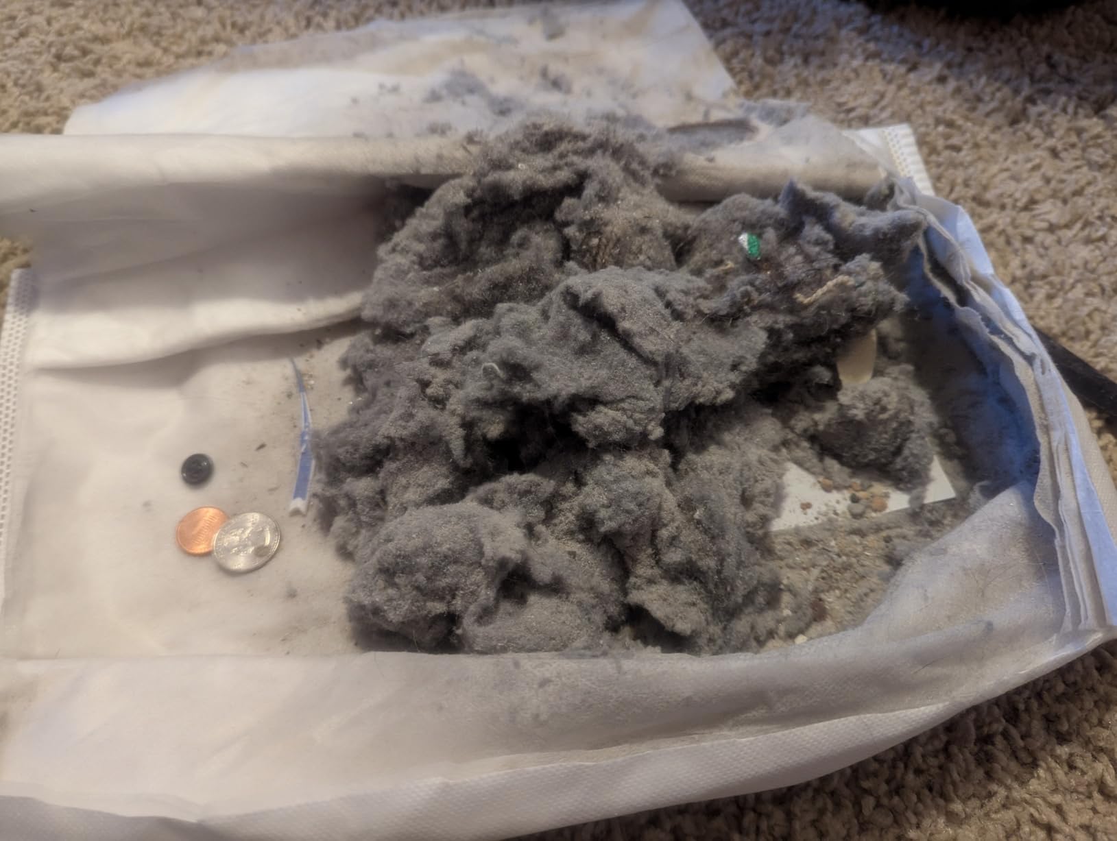 Kenmore 600 Series Pet Friendly Bagged Canister Vacuum | Lightweight, Pet PowerMate, Pop-N-Go Brush, 2 Motors, HEPA Filter, Aluminum Telescoping Wand, Retractable Cord - 81615 customer photo 1