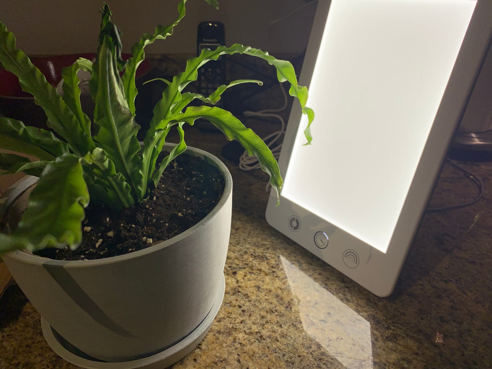 Verilux HappyLight Touch Plus - Light Therapy Lamp with 10,000 Lux, UV-Free, LED Bright White Light with Adjustable Brightness, Color, Countdown Timer, & Detachable Stand - Boost Mood, Sleep, & Focus customer photo 2