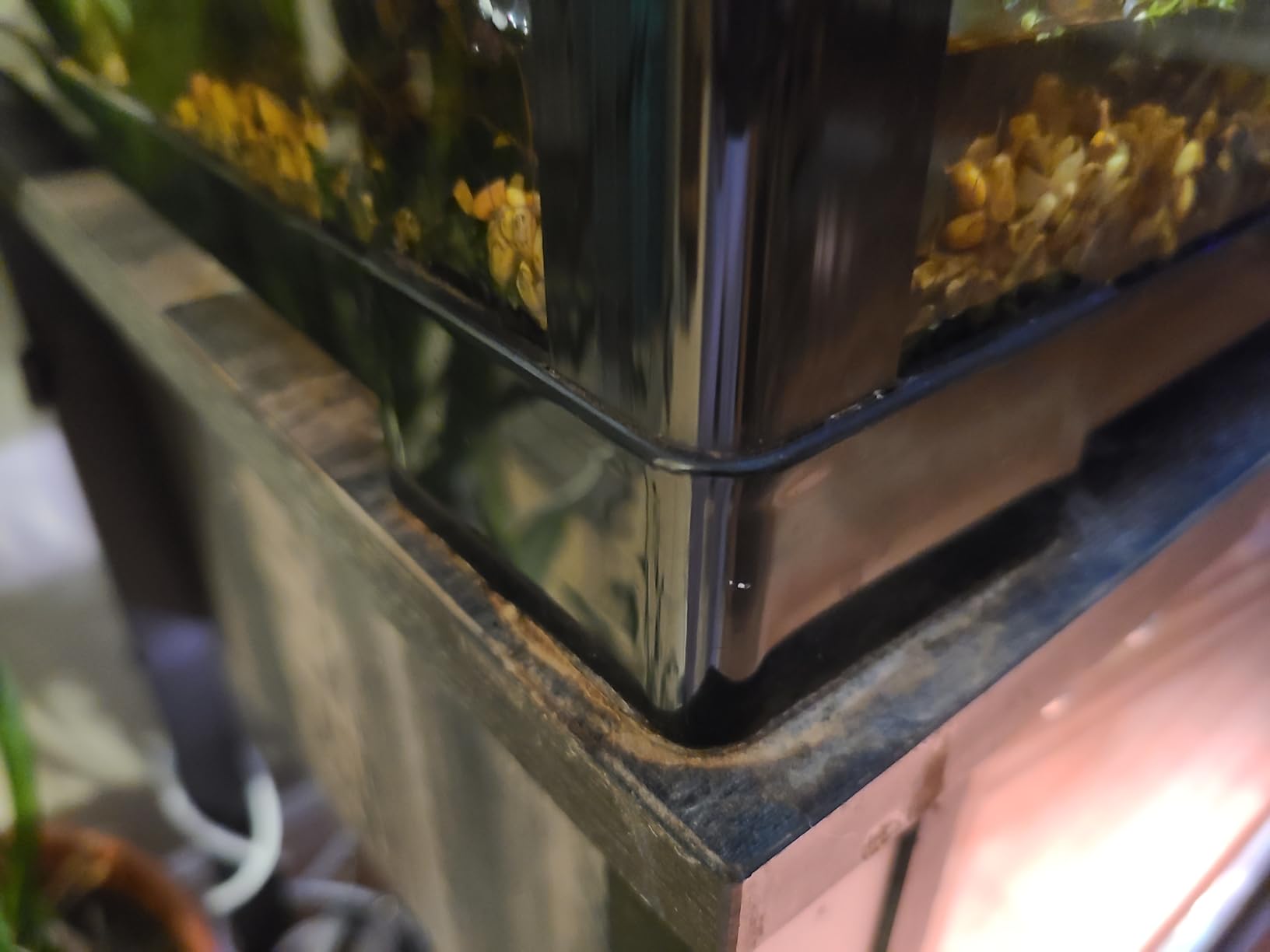 REPTI ZOO 50 Gallon Reptile Glass Tank Terrarium 2 in 1 Side Meshes and Side Glasses Double Hinge Door with Screen Ventilation Tempered Glass 36