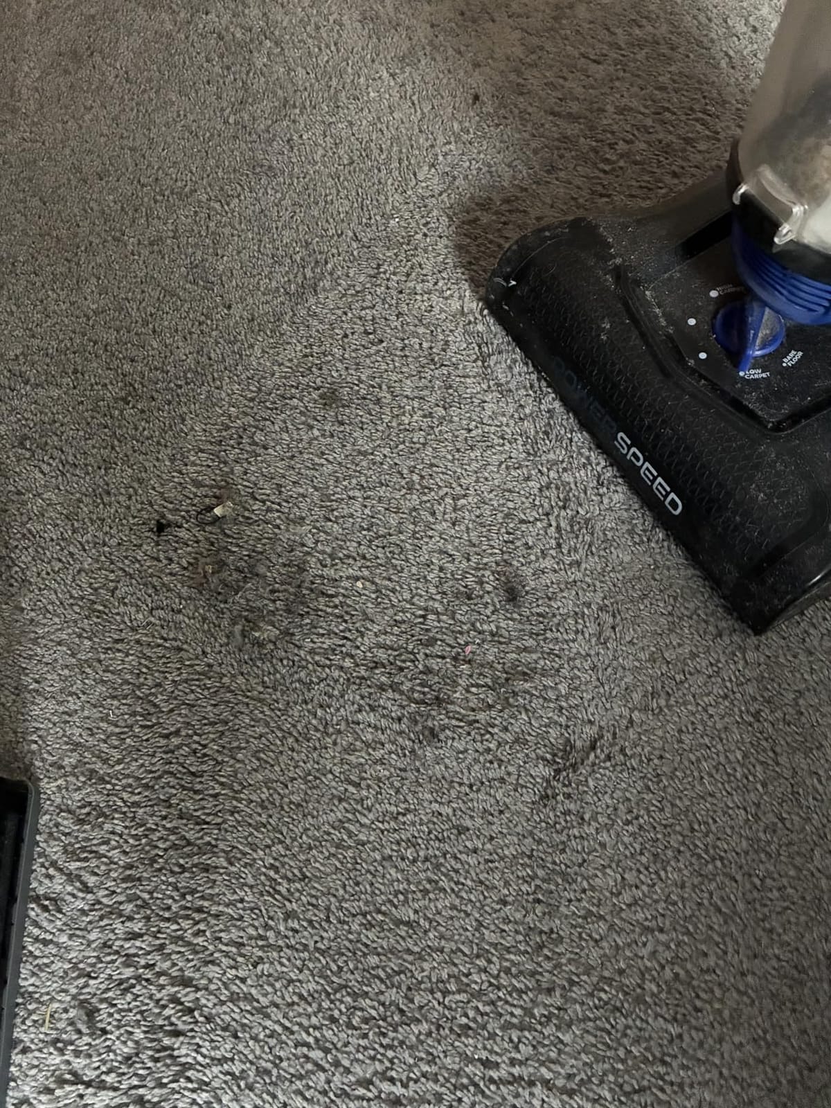 Eureka Lightweight Powerful Upright Vacuum Cleaner for Carpet and Hard Floor, PowerSpeed, New Model,Blue,black/New Model customer photo 2