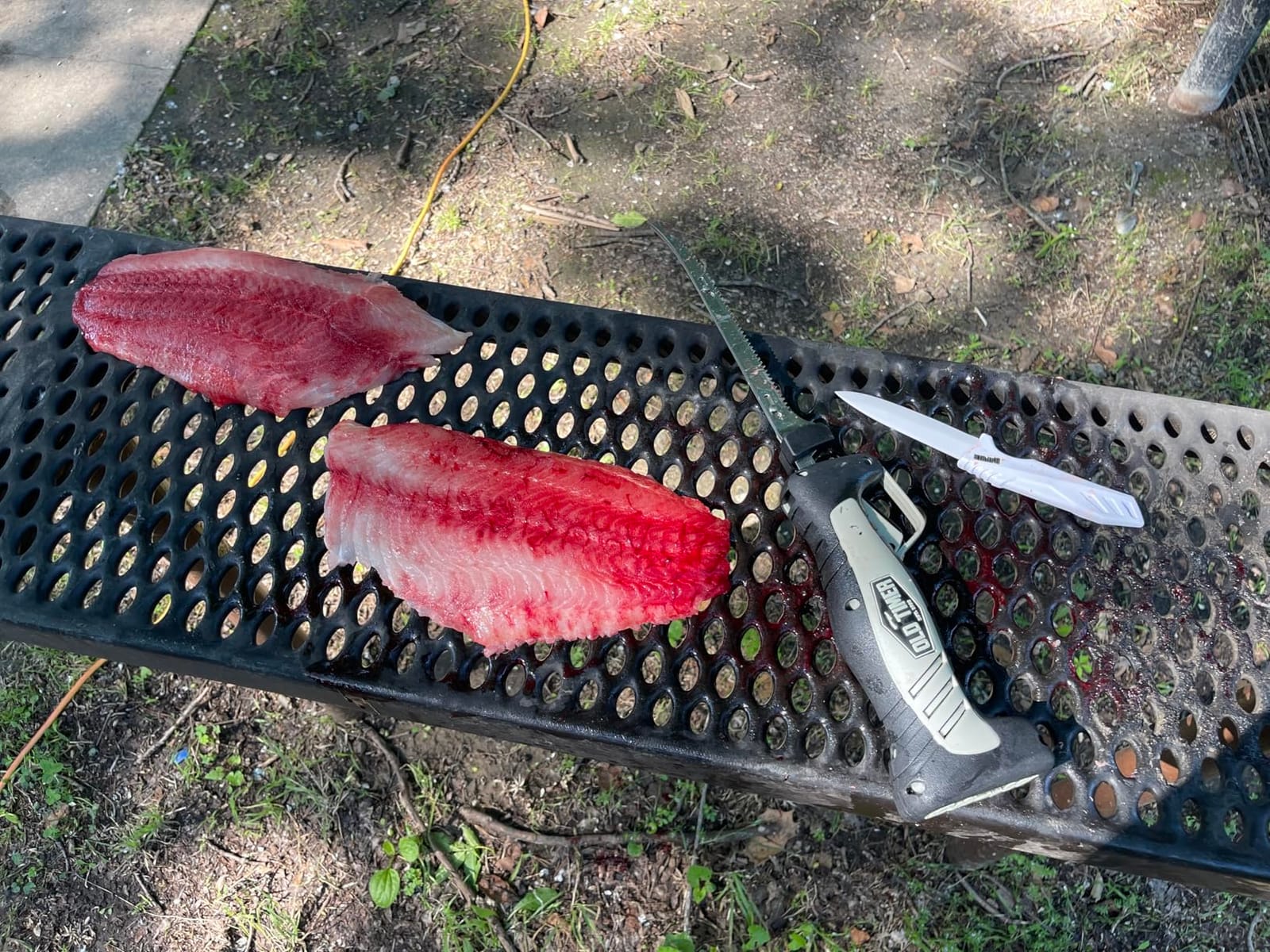 Old Timer Electric Fillet Knife with Rechargeable Battery, 8