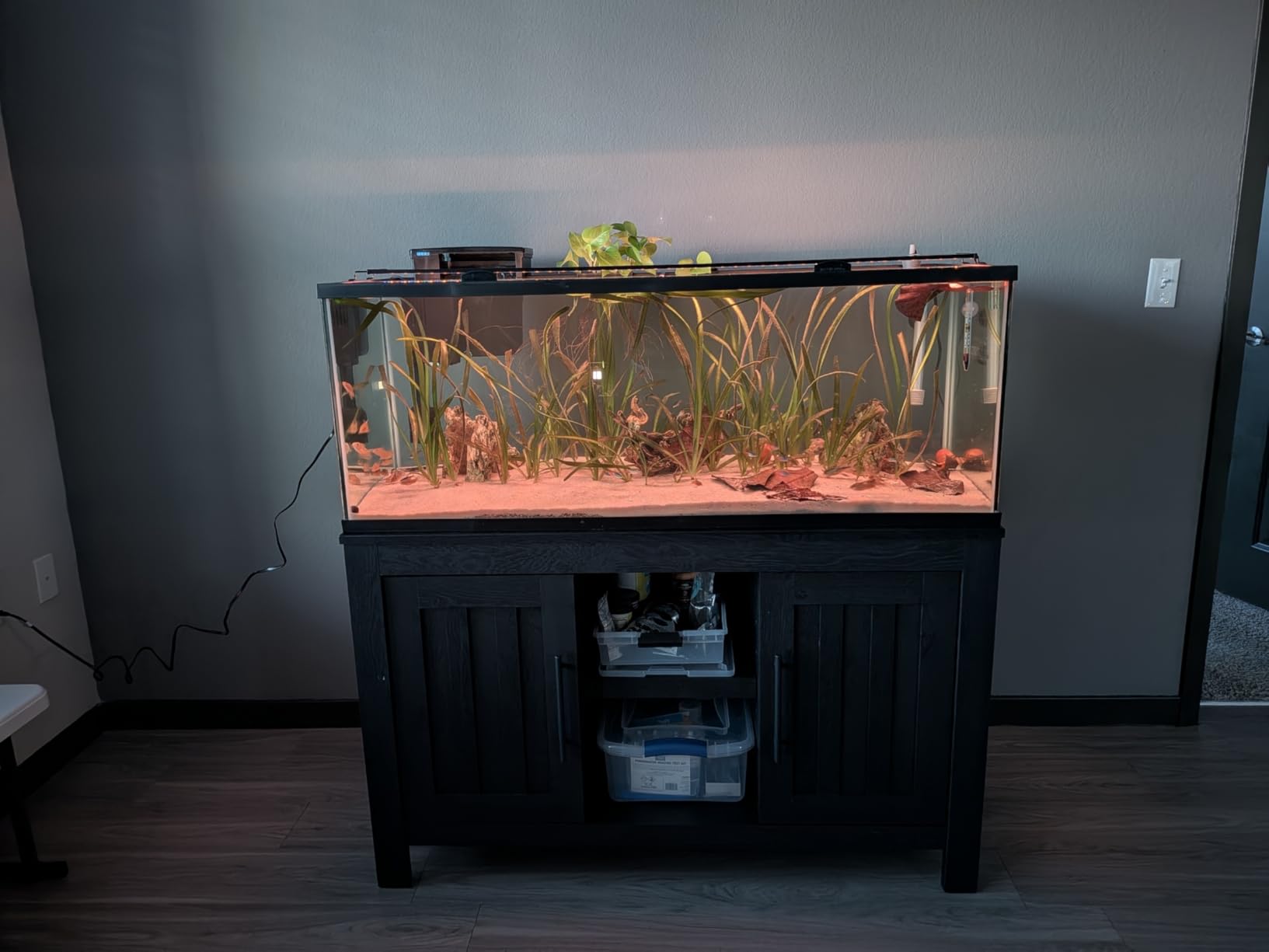 hygger Advanced LED Aquarium Light with Timer, 24/7 Lighting Cycle & DIY Mode, Full Spectrum Fish Tank Light for 30-36 in Freshwater Planted Tank customer photo 1