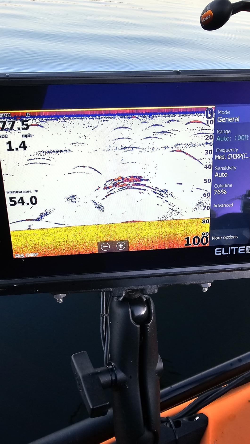 Lowrance Elite FS 9