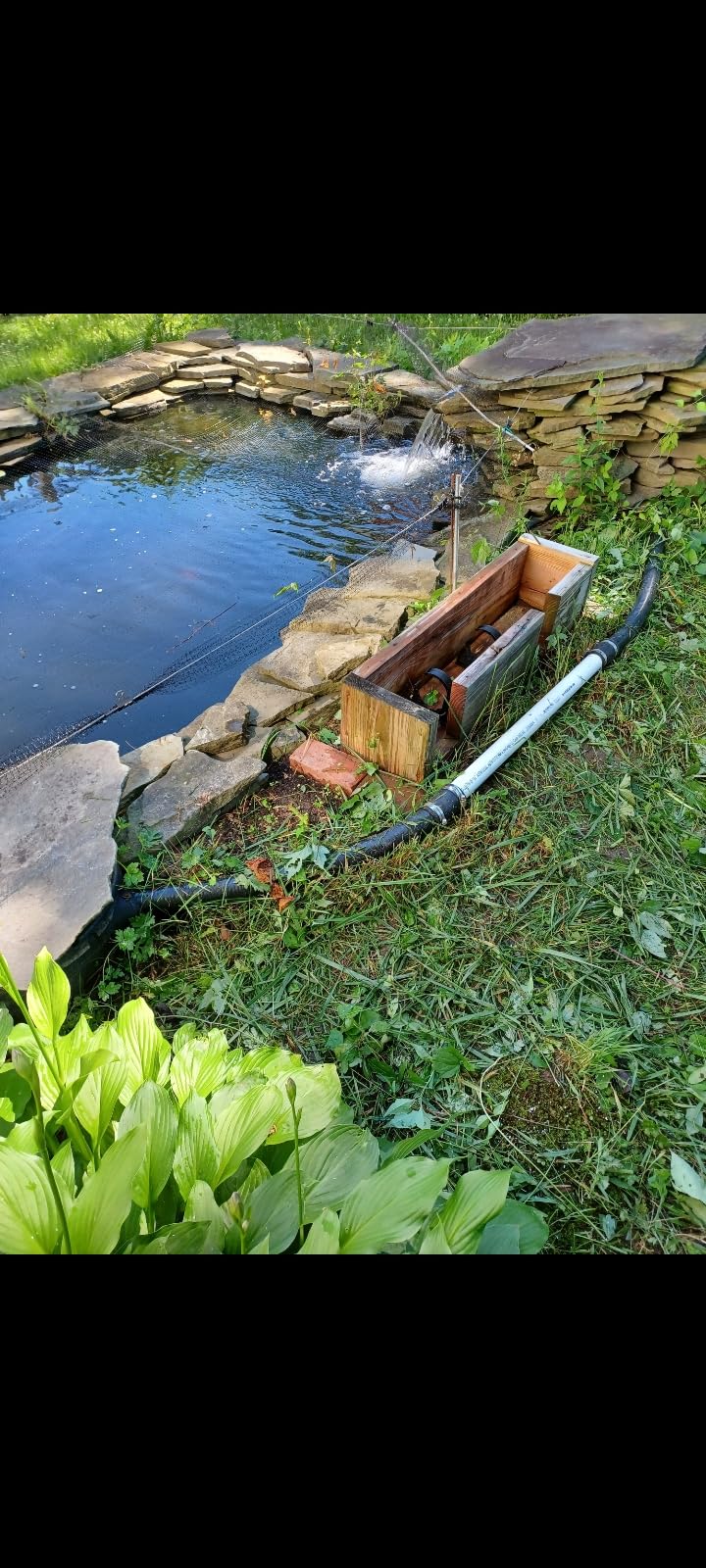 Jebao CW-55 Pond and Aquarium Clarifier, 55-watt customer photo 2