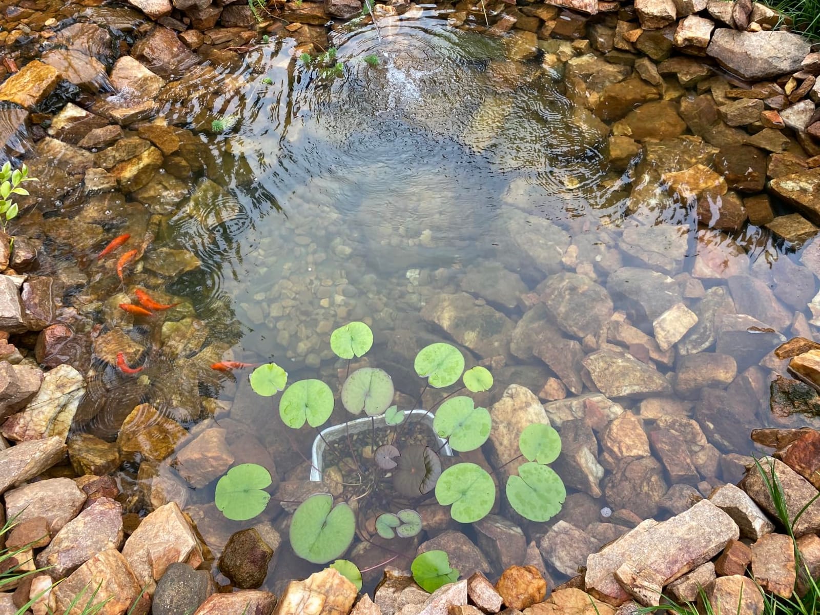 Jebao STU-36 Stainless Steel Pond and Aquarium Clarifier, 36-watt customer photo 1