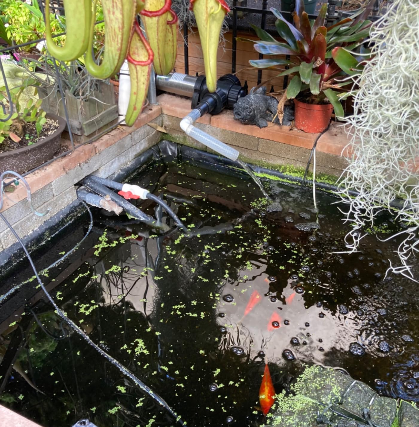 Jebao STU-36 Stainless Steel Pond and Aquarium Clarifier, 36-watt customer photo 2