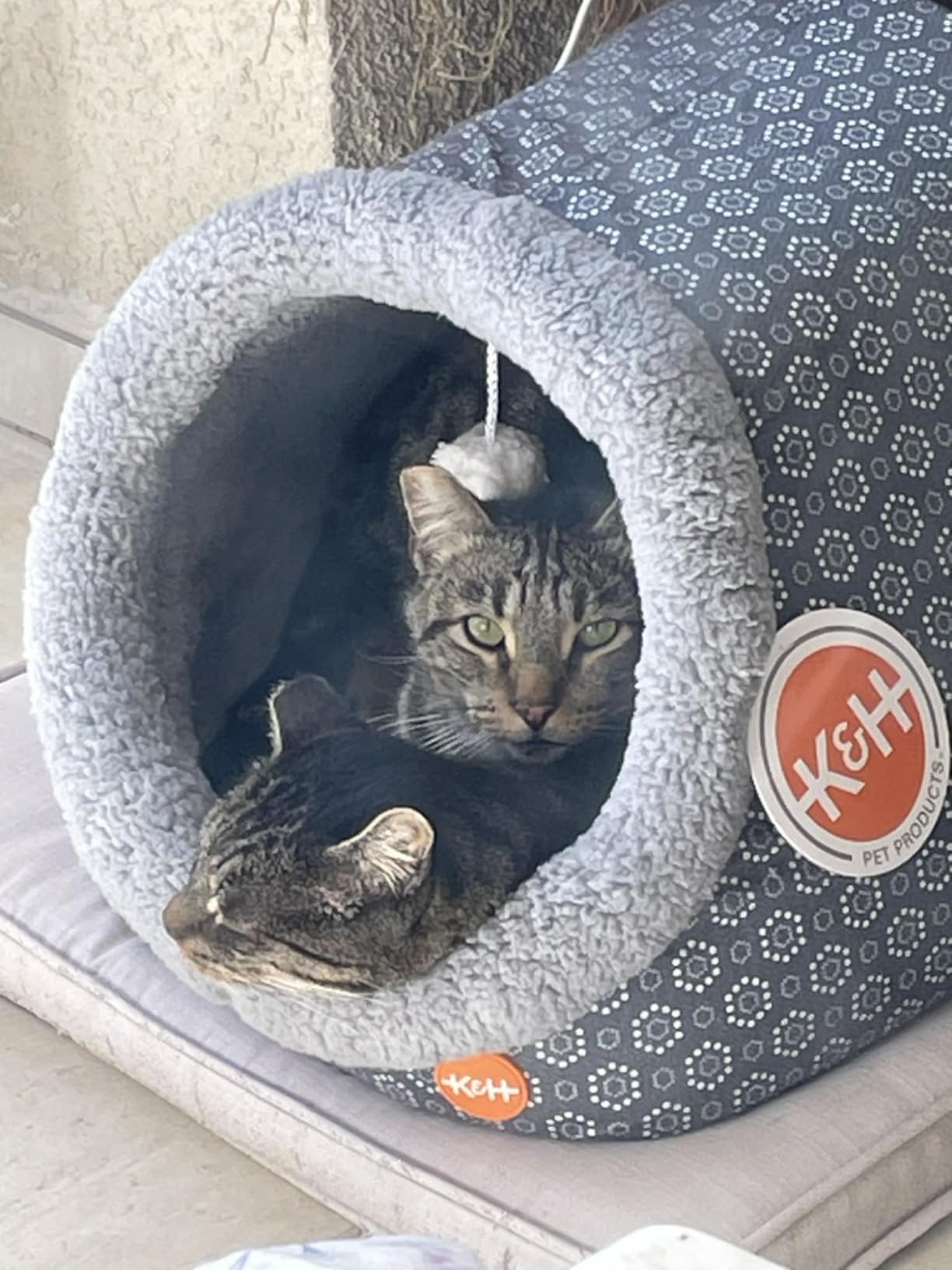 K&H Heated Cat Bed, Thermo-Pet Cave Indoor, Safety Listed, 4W, Navy/Geo | Removable Waterproof Cat Heating Pad, Heated Pet Bed for Dogs & Cats, Covered Cave Pet Tent, Collapsible, Machine Washable customer photo 2