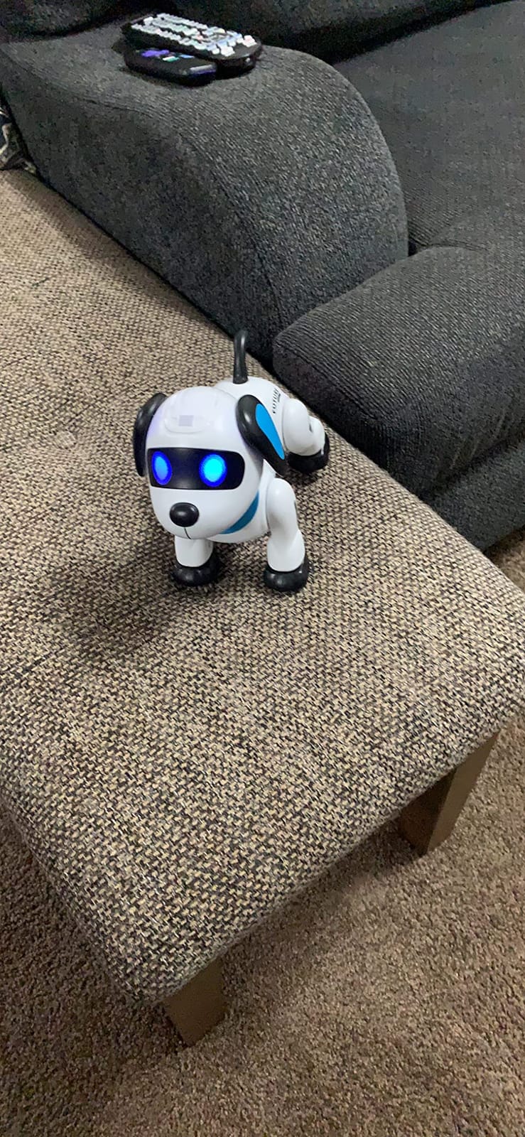 yiman Remote Control Robot Dog Toy - Programmable Smart Robot Dog for Kids 3+, Interactive Dancing & Sound, RC Stunt Toys with LED Eyes, Electronic Pet Toy for Boys & Girls Gifts (Blue) customer photo 2