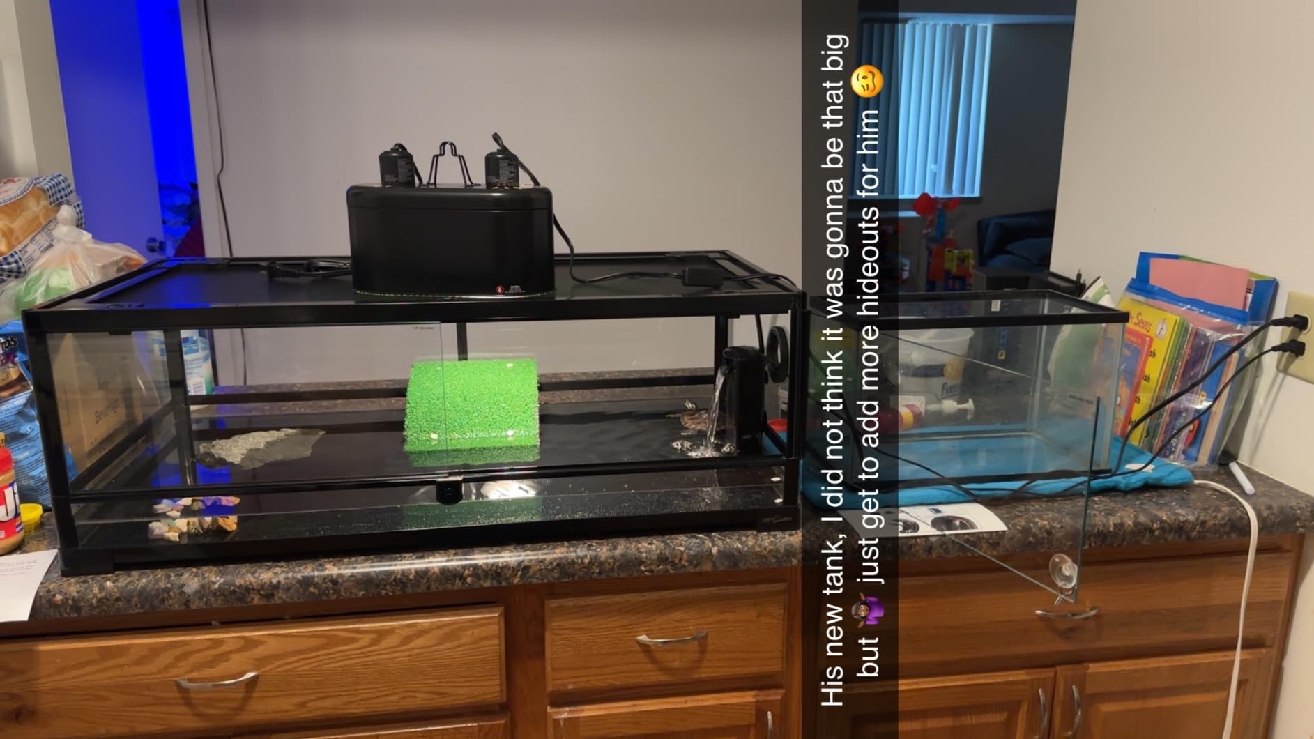 REPTI ZOO Full Glass 35 Gallon Reptile Tank, Front Opening Wide & Low Reptile Terrarium 36