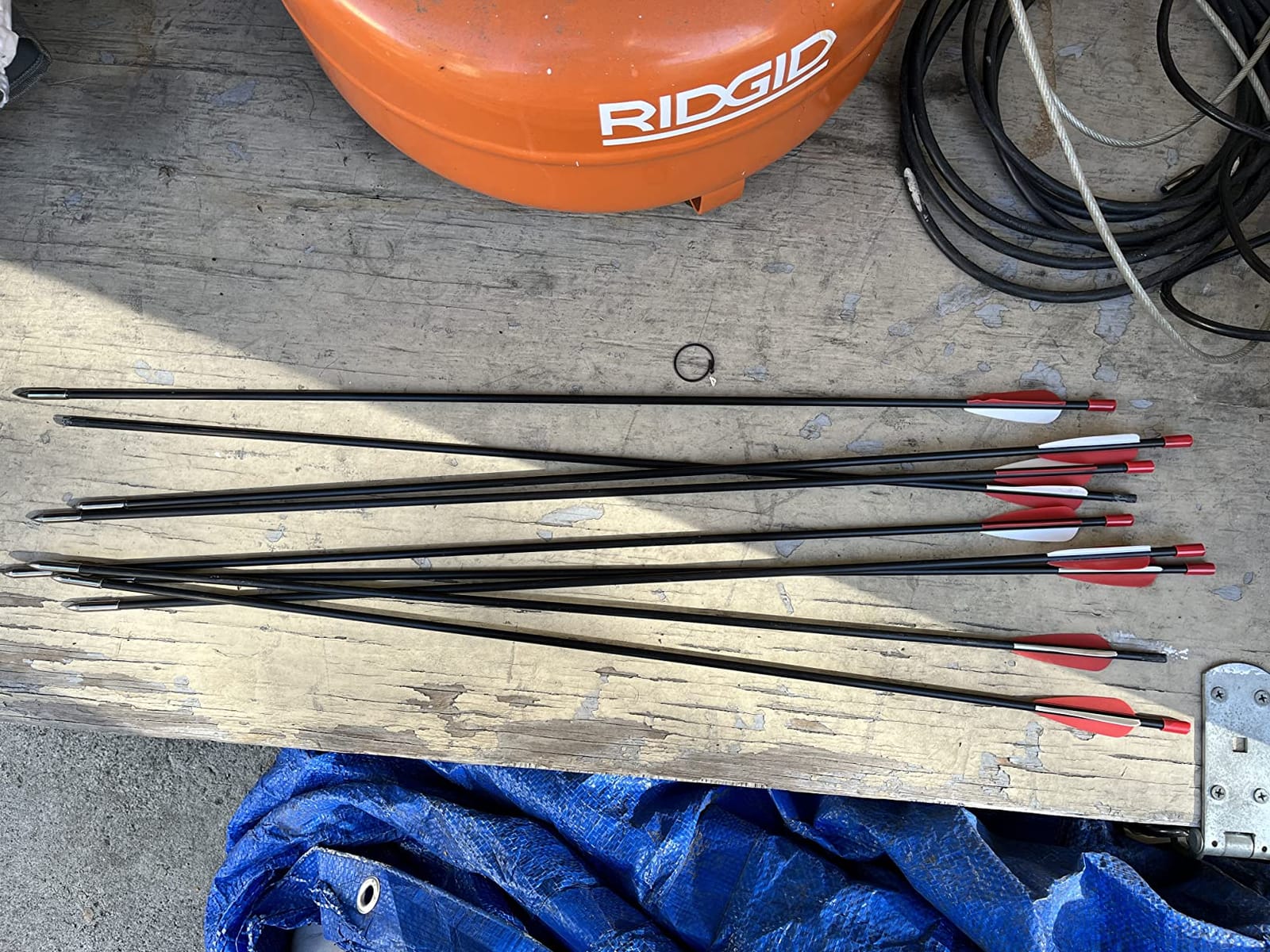 Compound Bow Archery for Youth and Beginner, Right Handed, 19