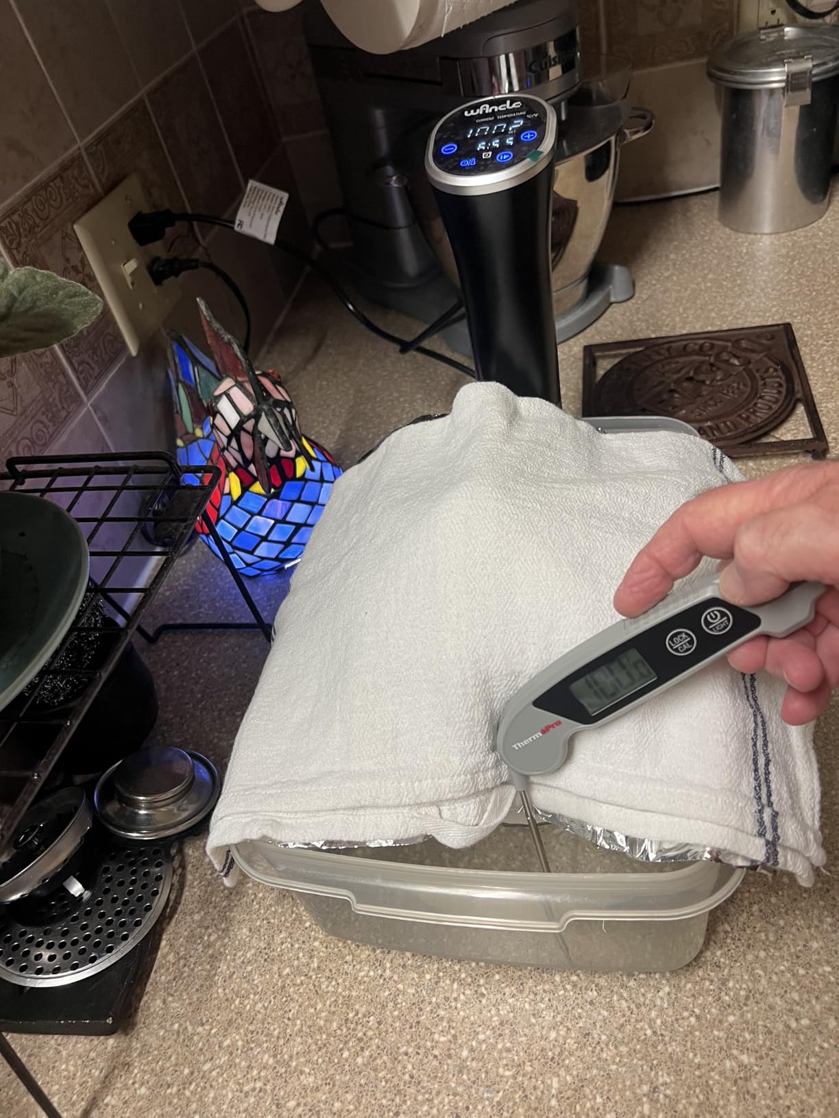 Wancle Sous Vide Cooker 1100W IPX7 Waterproof Thermal Immersion Circulator customer photo 1