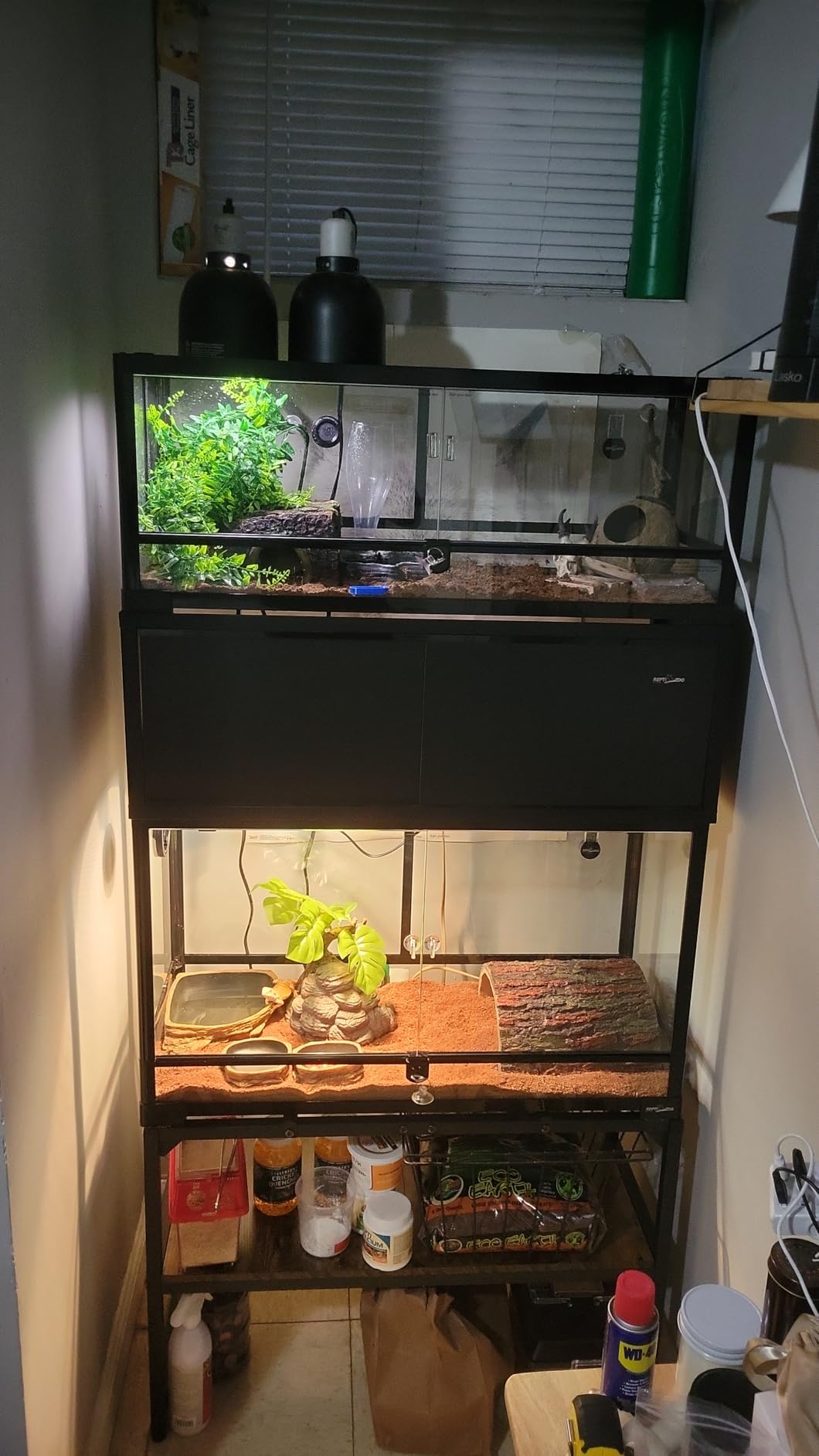 REPTI ZOO Tempered Glass Reptile Terrarium 30 Gallon, Wide Reptiles Tank 30