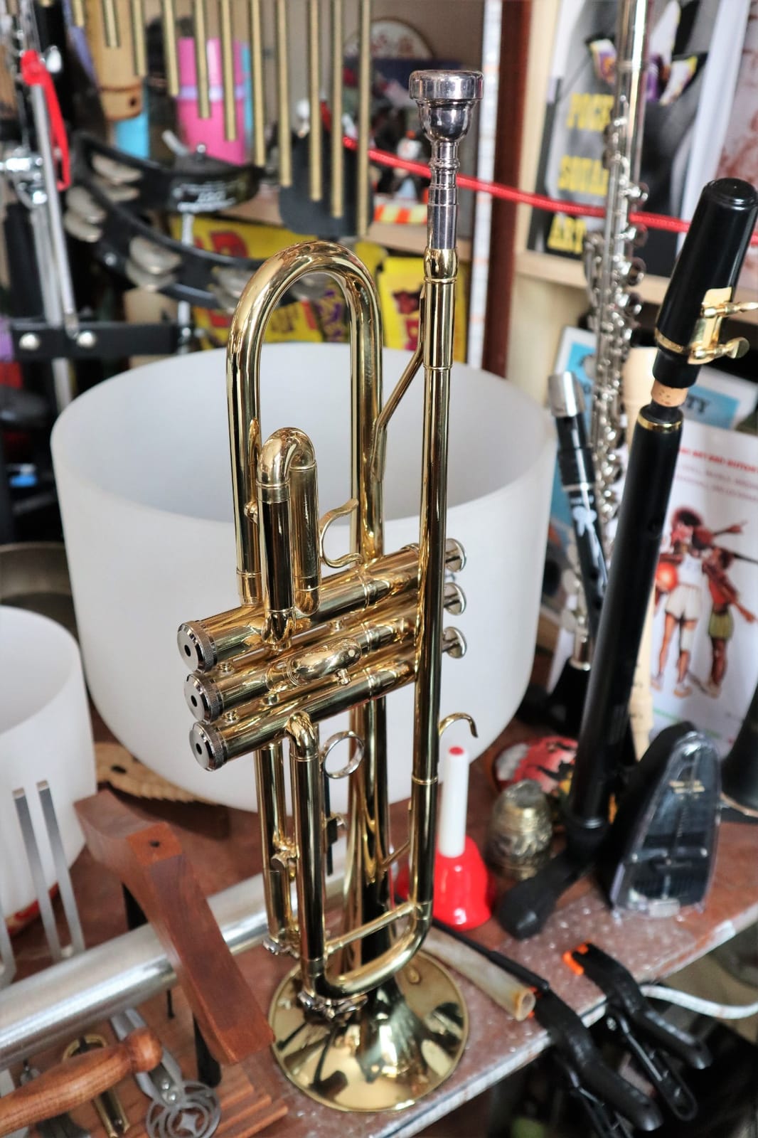 Student Bb Trumpet, Gold Finish Brass for School Band Orchestra Beginners | 7C Mouthpiece, Stainless Steel Valves, Adjustable 3rd Valve Ring, Hard Case, Cleaning Kit, White Gloves customer photo 2