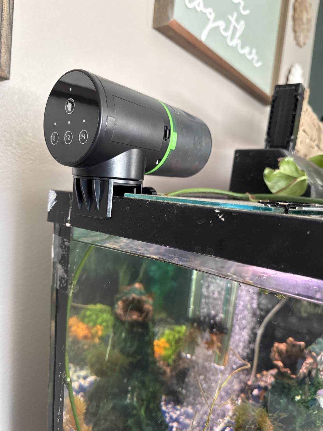 Freesea Automatic Fish Feeder for Aquarium: One-Touch Easy Setup & 3 Timers | 7-14 Day Supply with 200ML Food Dispenser - Worry-Free Vacation Feeding for Betta Turtle Tank customer photo 2